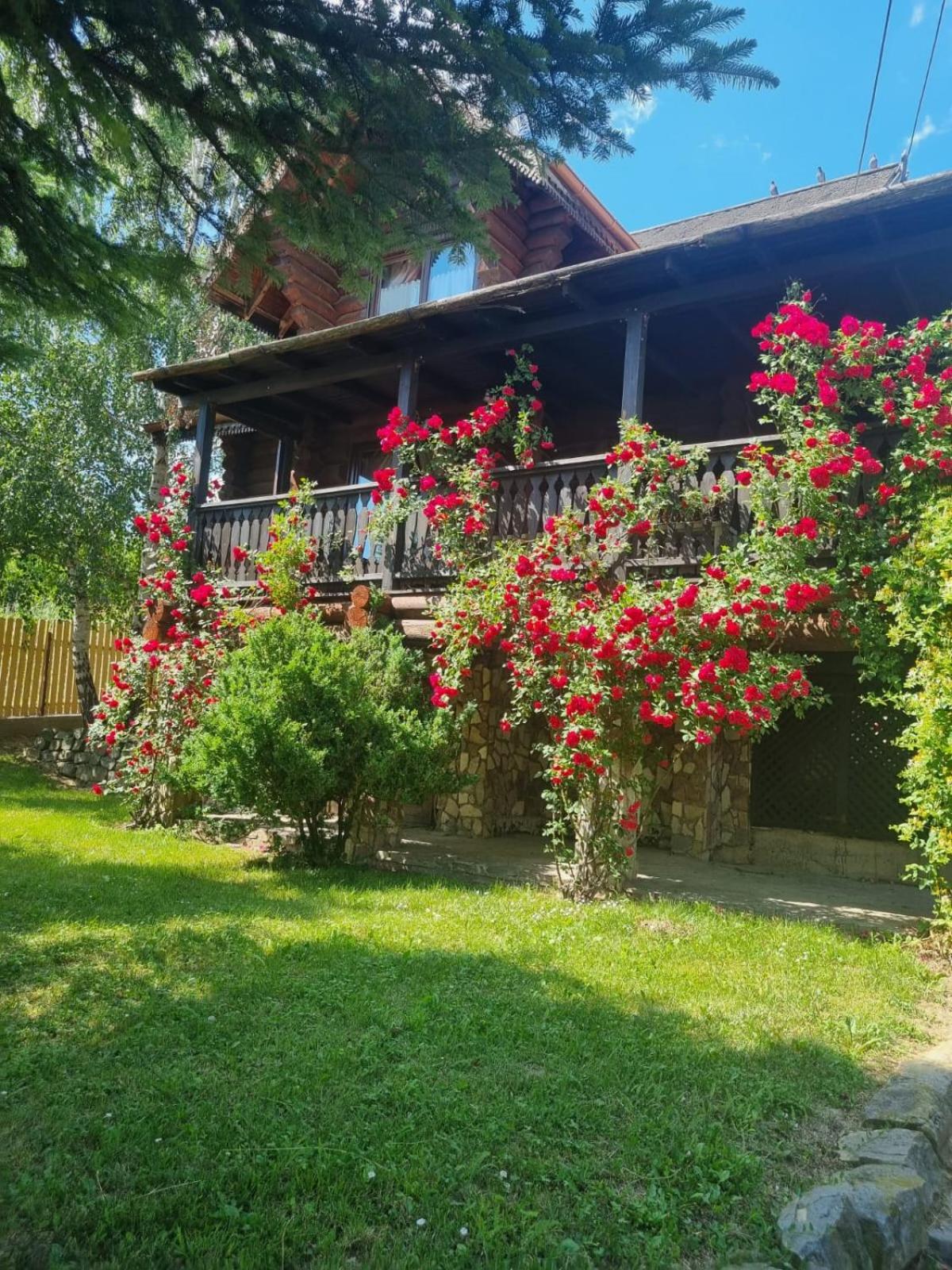 Cabana Haiducului