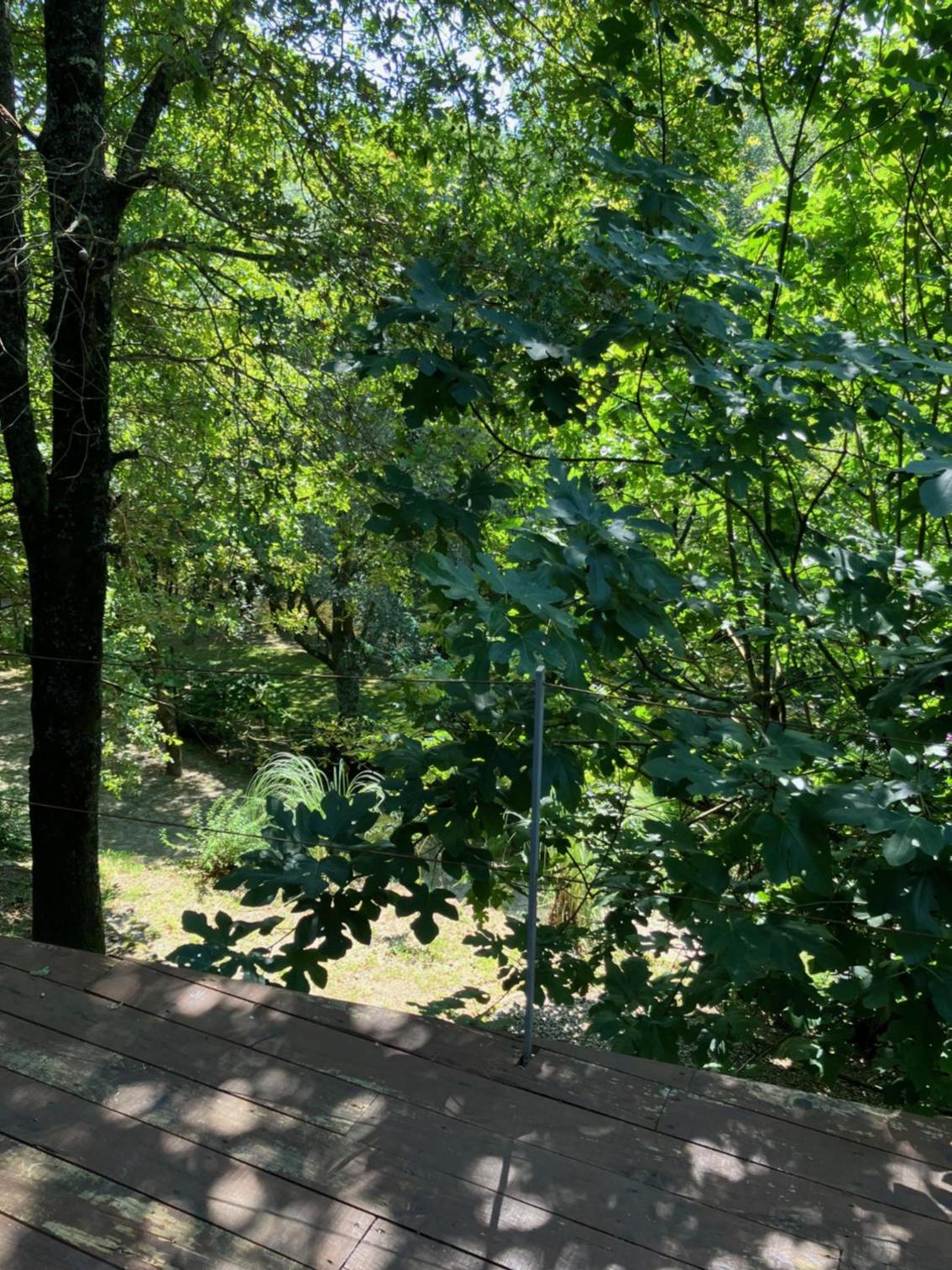 CASA RIO VEZ - Riverfront view 2