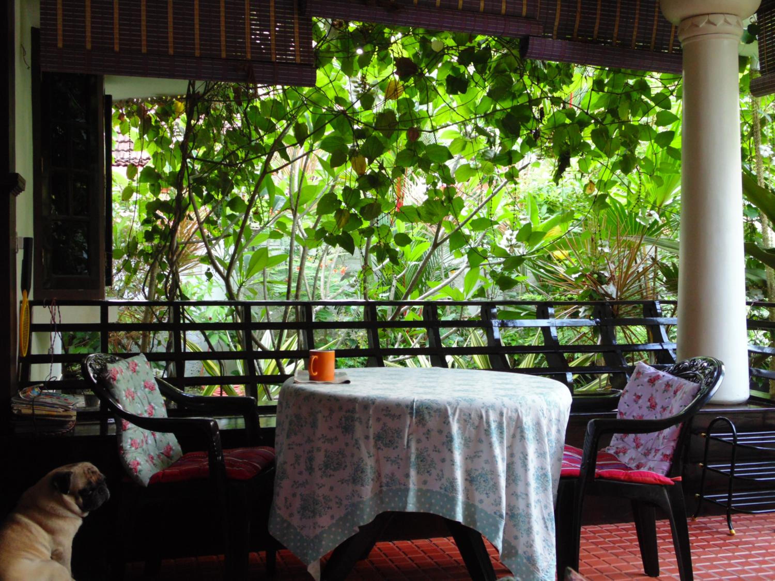 Bella Boutique Homestay