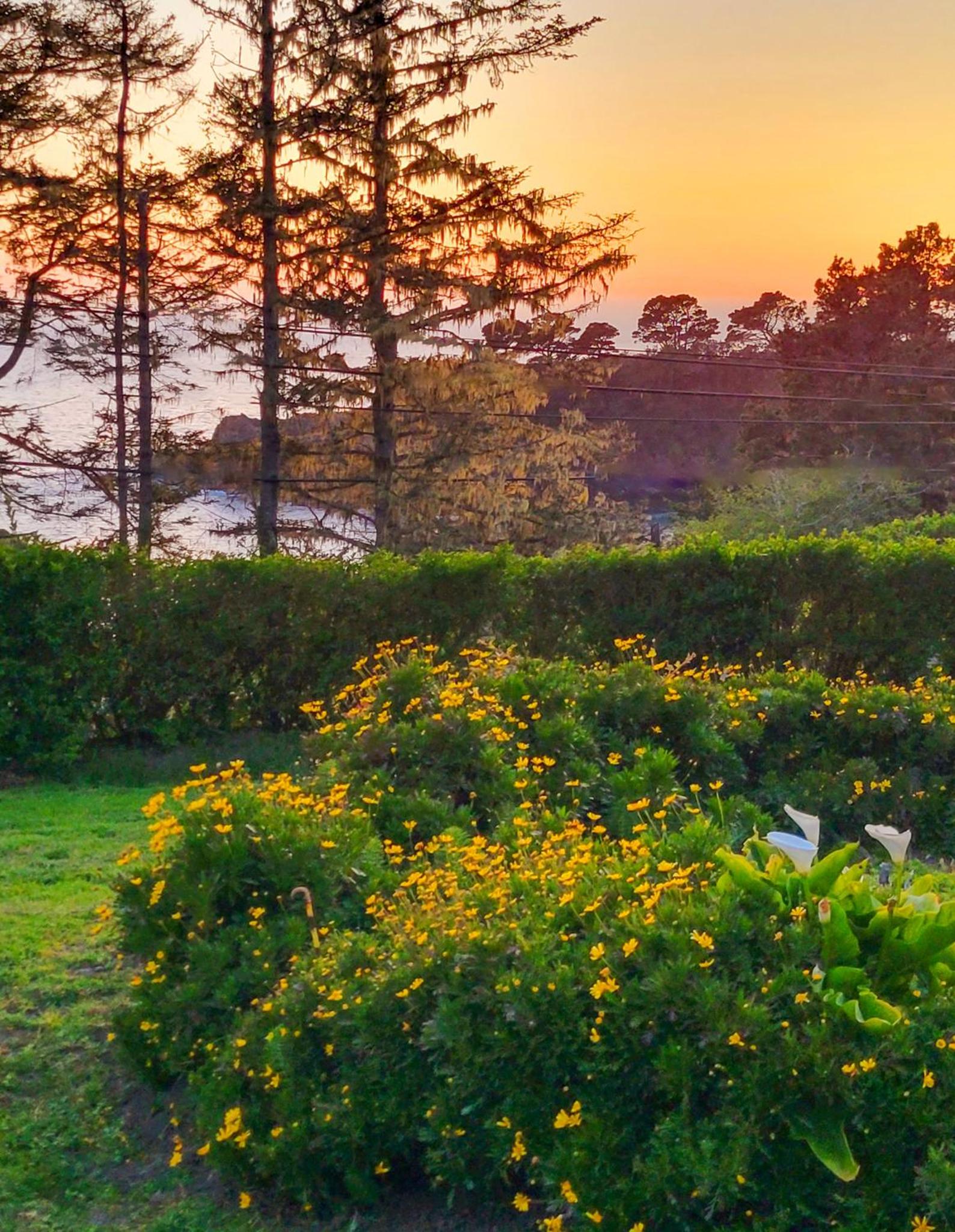 Inn at Buckhorn Cove