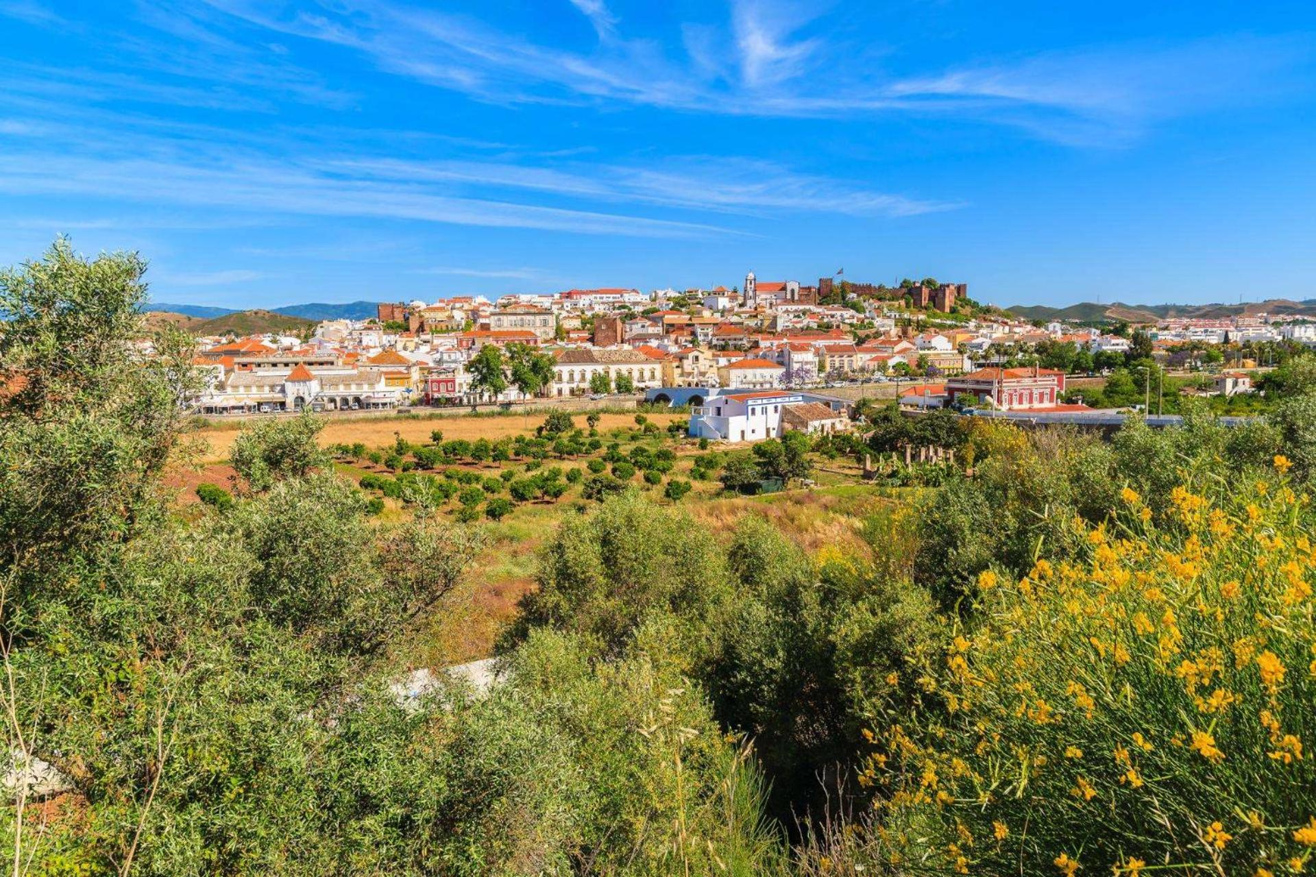 Casa Branca by Vintage Travel view 5