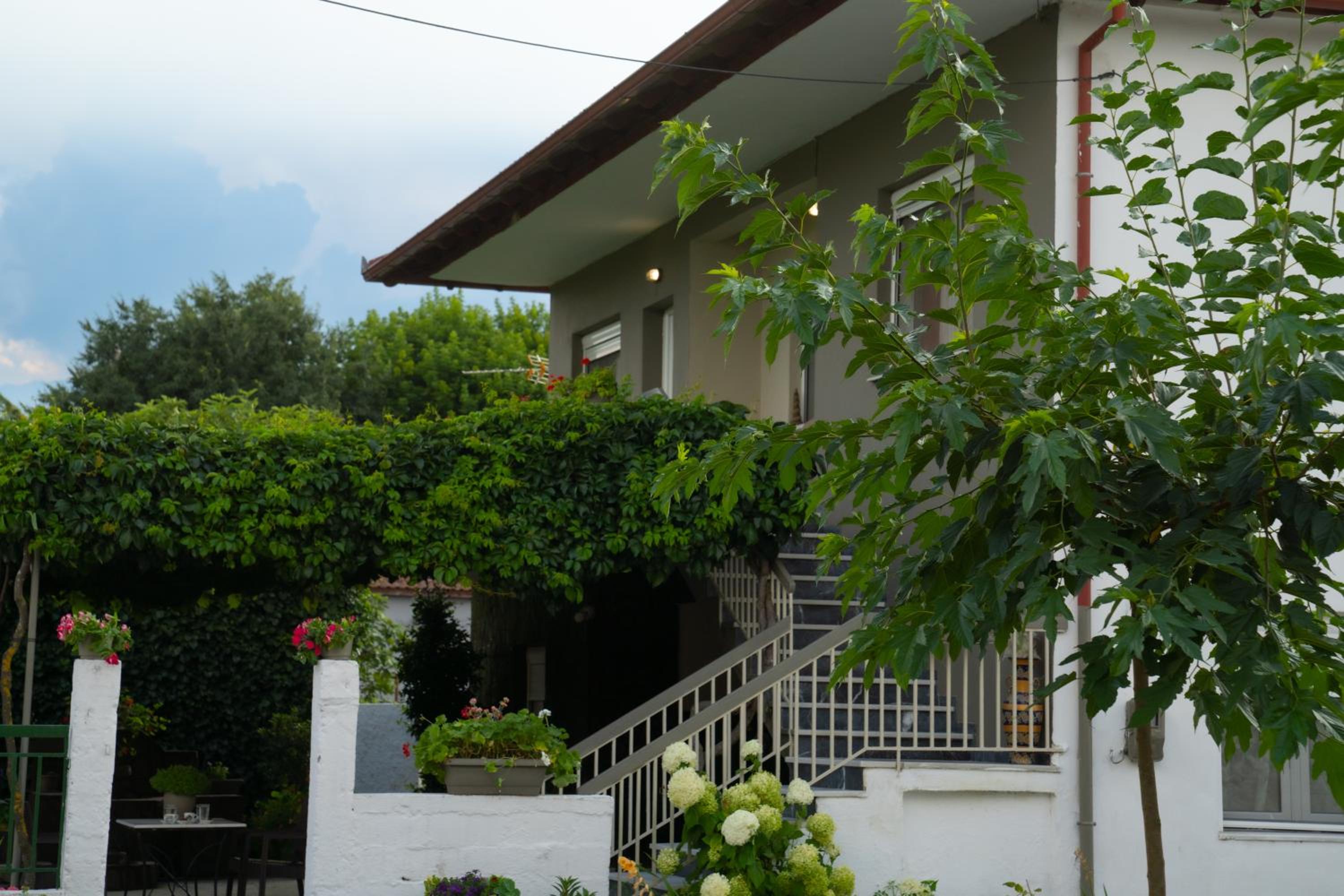 Xrysa's House