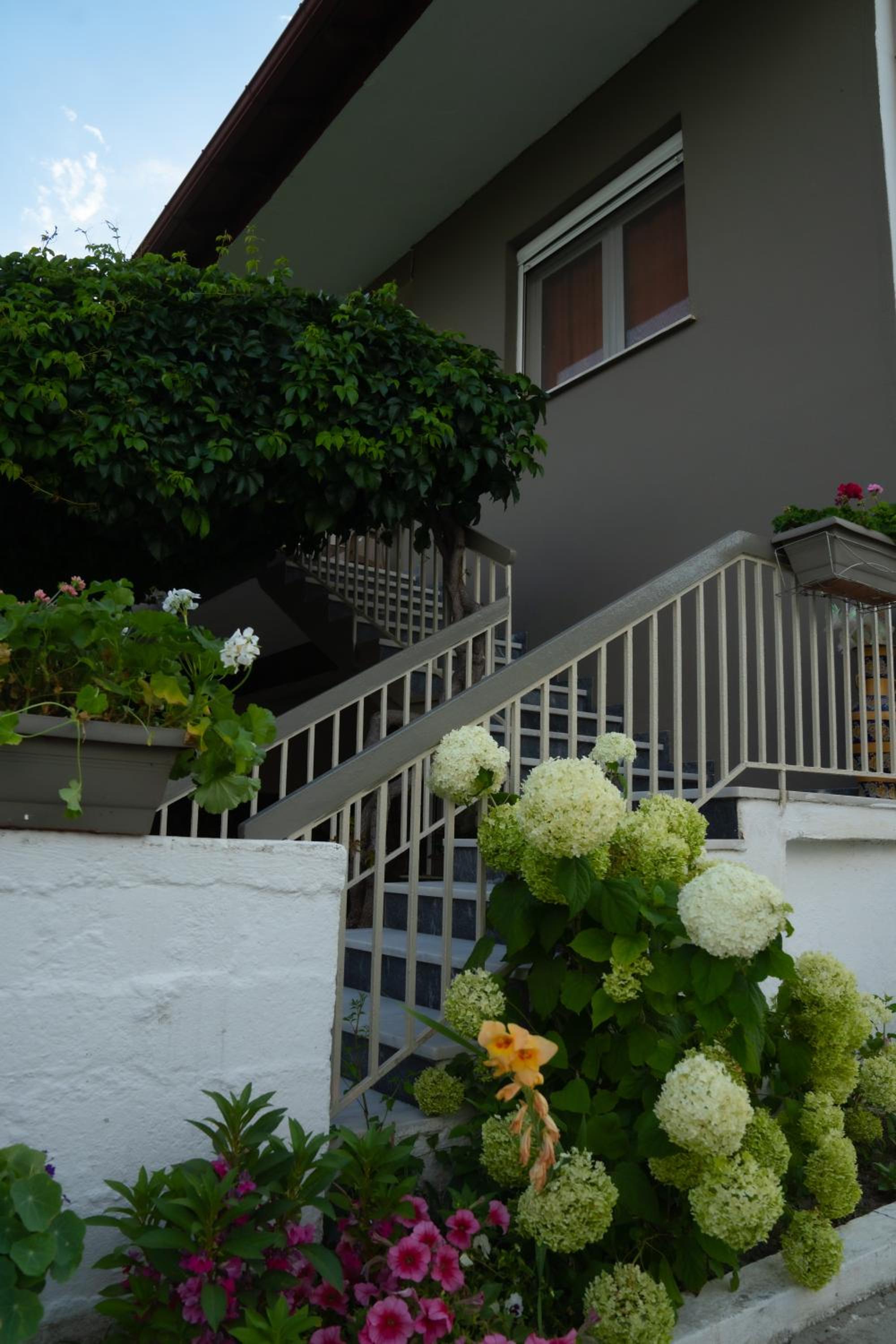 Xrysa's House