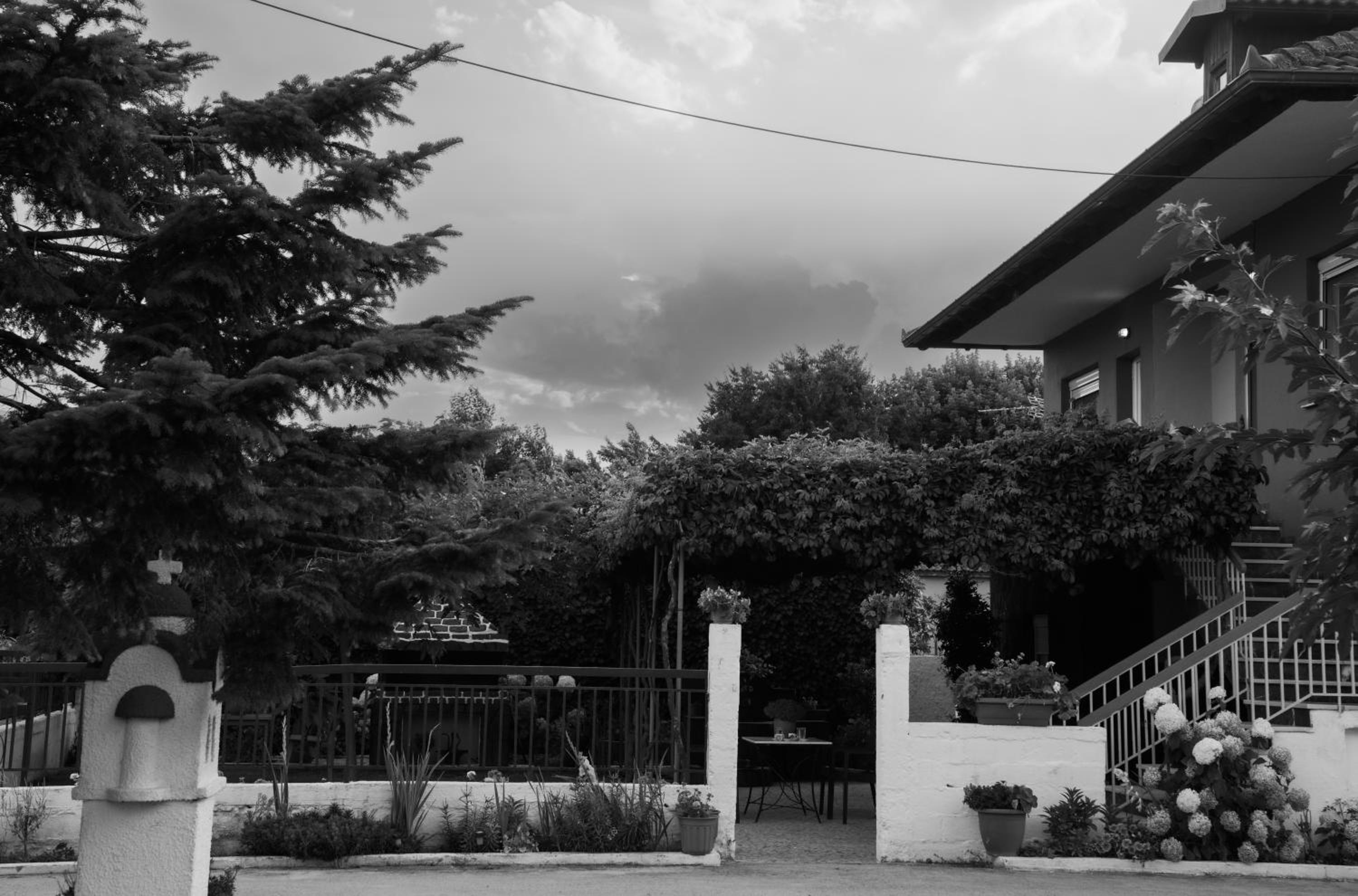 Xrysa's House