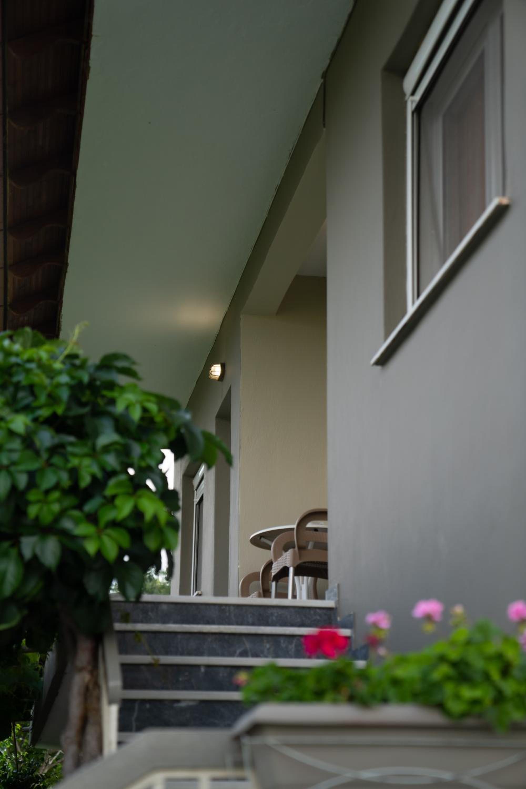 Xrysa's House