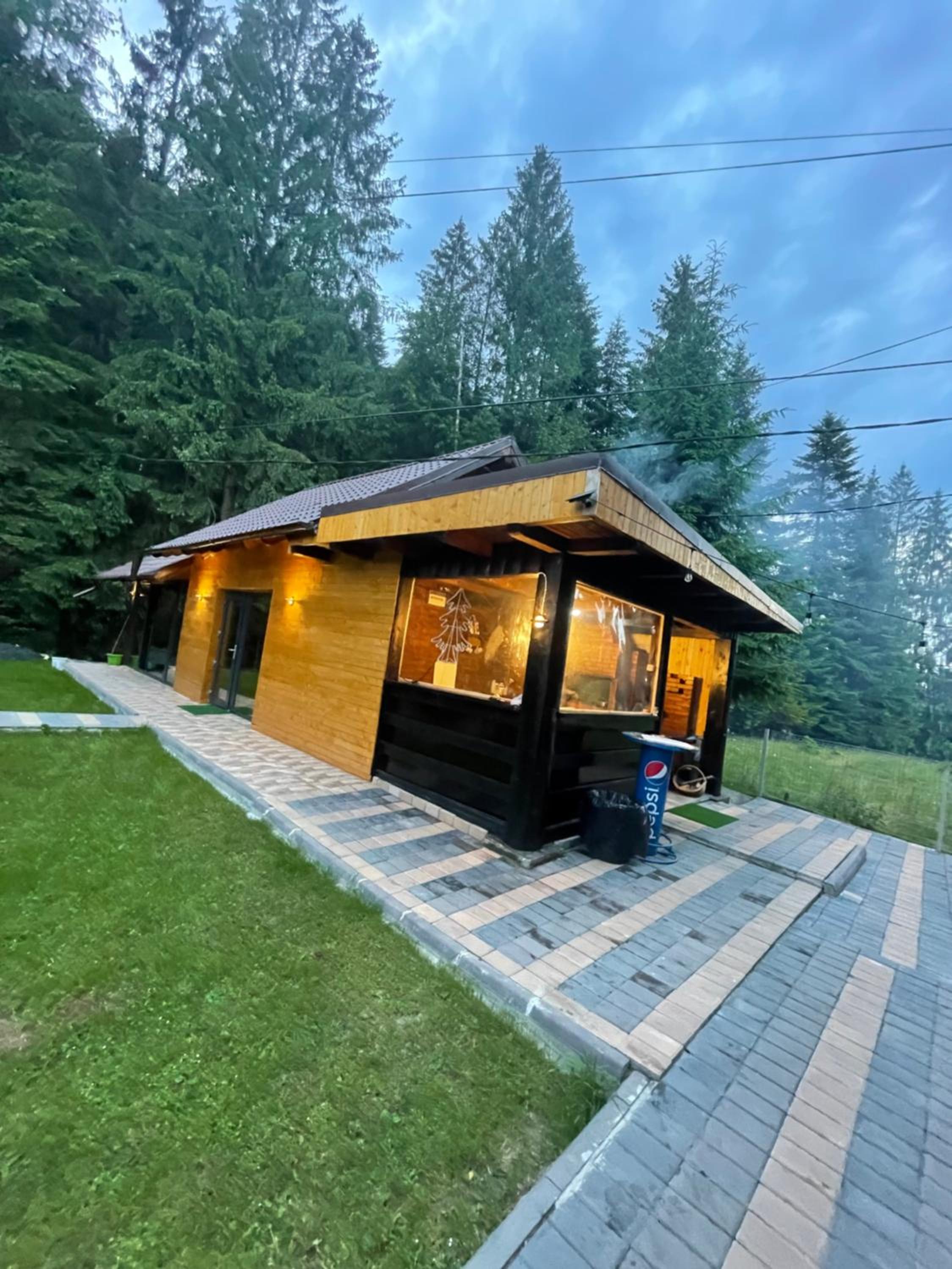 Casa Voronet view 5