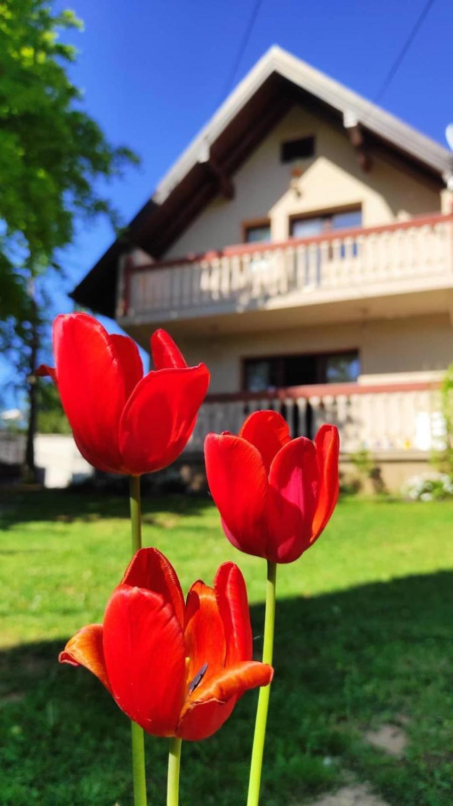 Holiday Home Zelena Oaza