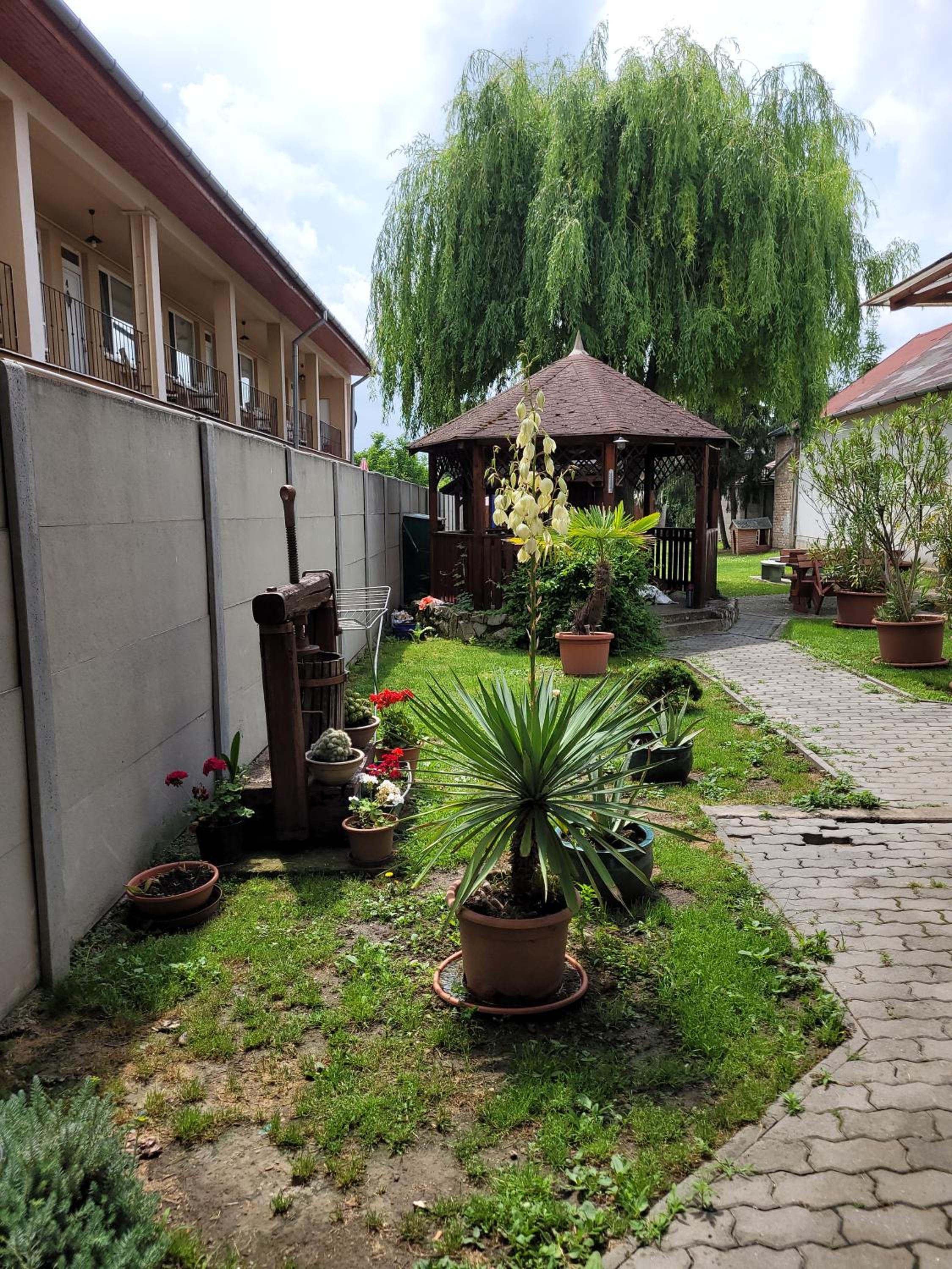 Photo 25
