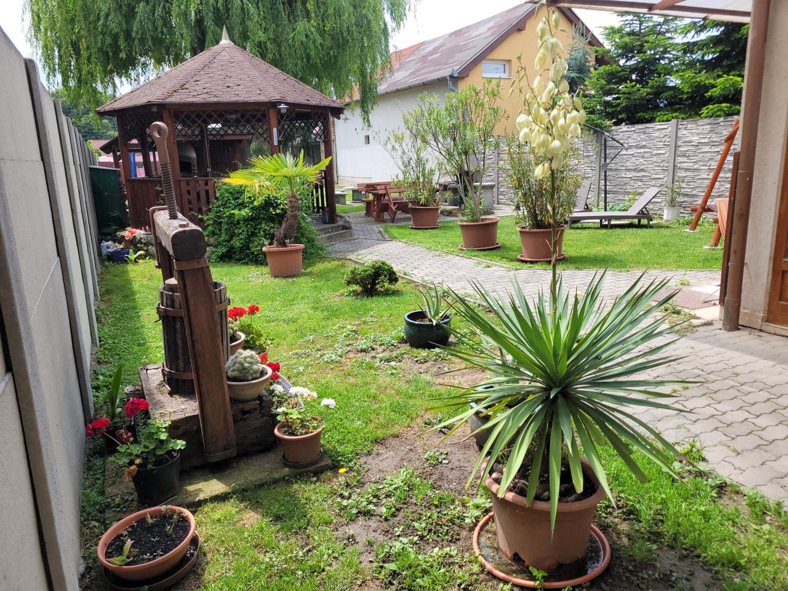 Photo 26