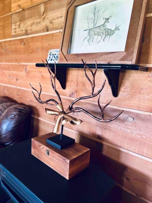 5 Points Ranch & Cattle view 2