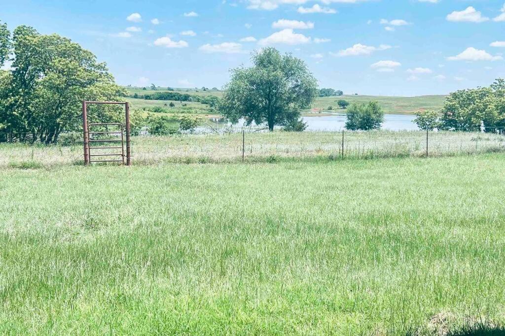5 Points Ranch & Cattle view 3