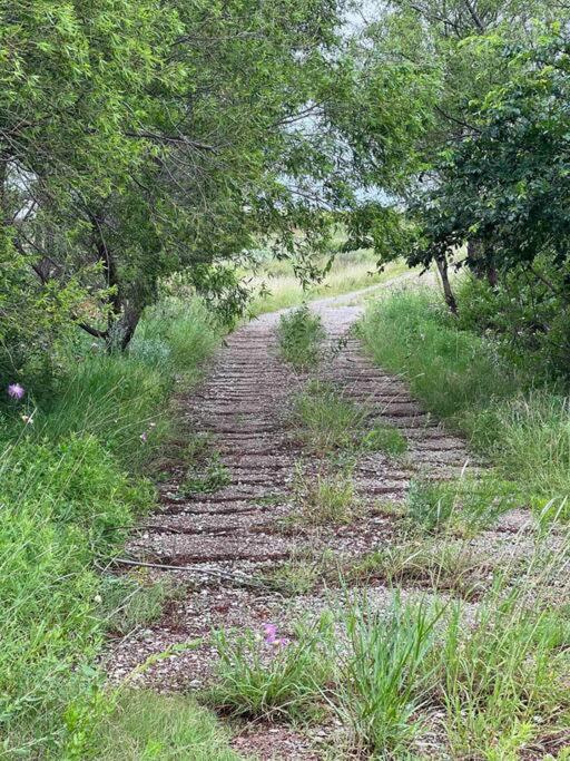 5 Points Ranch & Cattle view 5