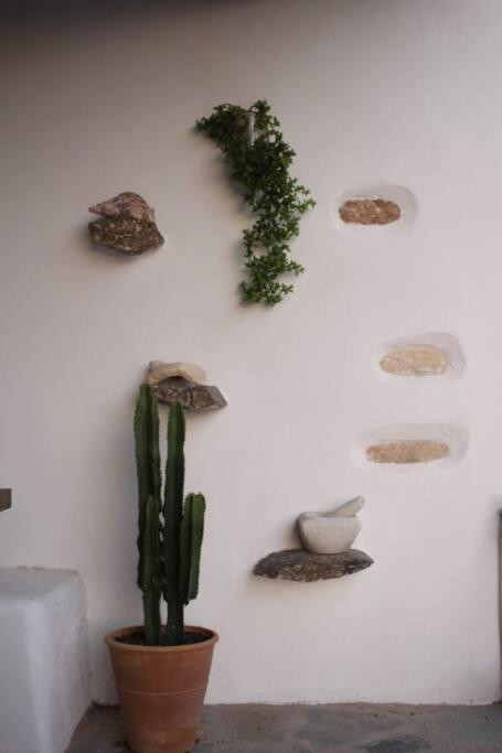 A casa d’ Irene photo 5