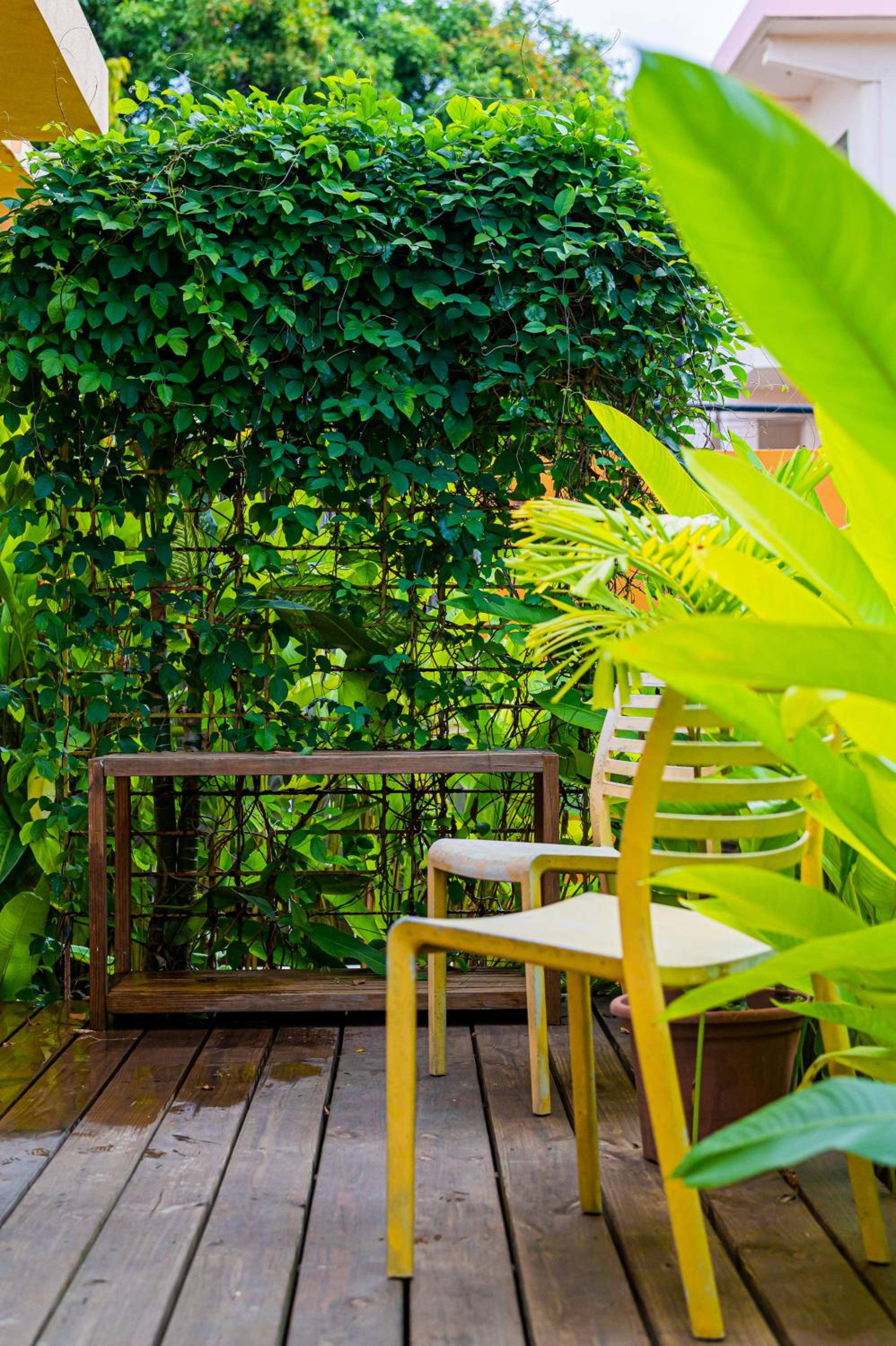 Casa de Amistad Guesthouse