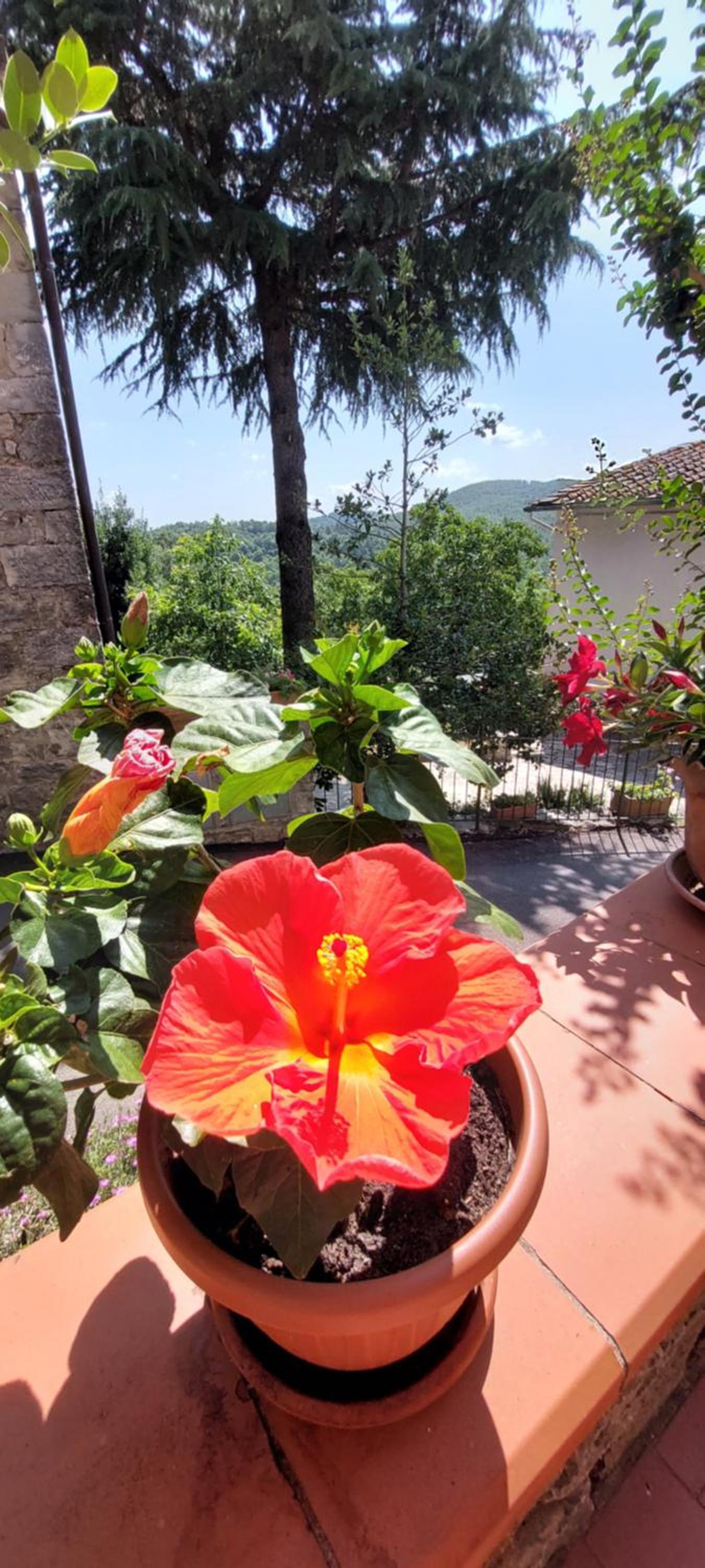 Casa Badia