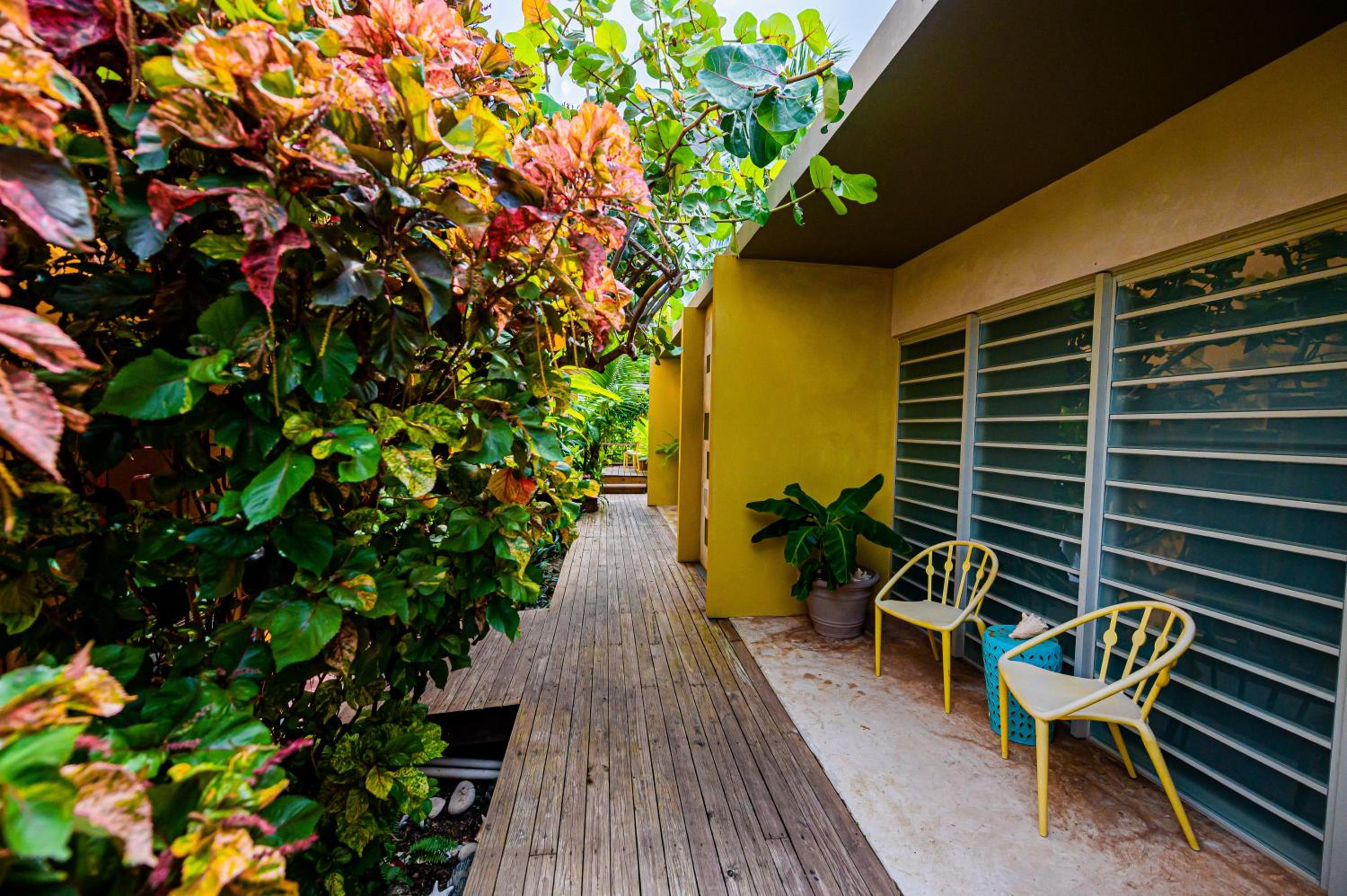 Casa de Amistad Guesthouse