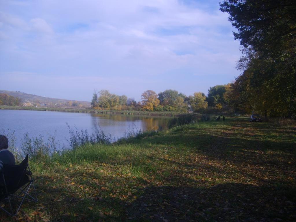 Photo 39