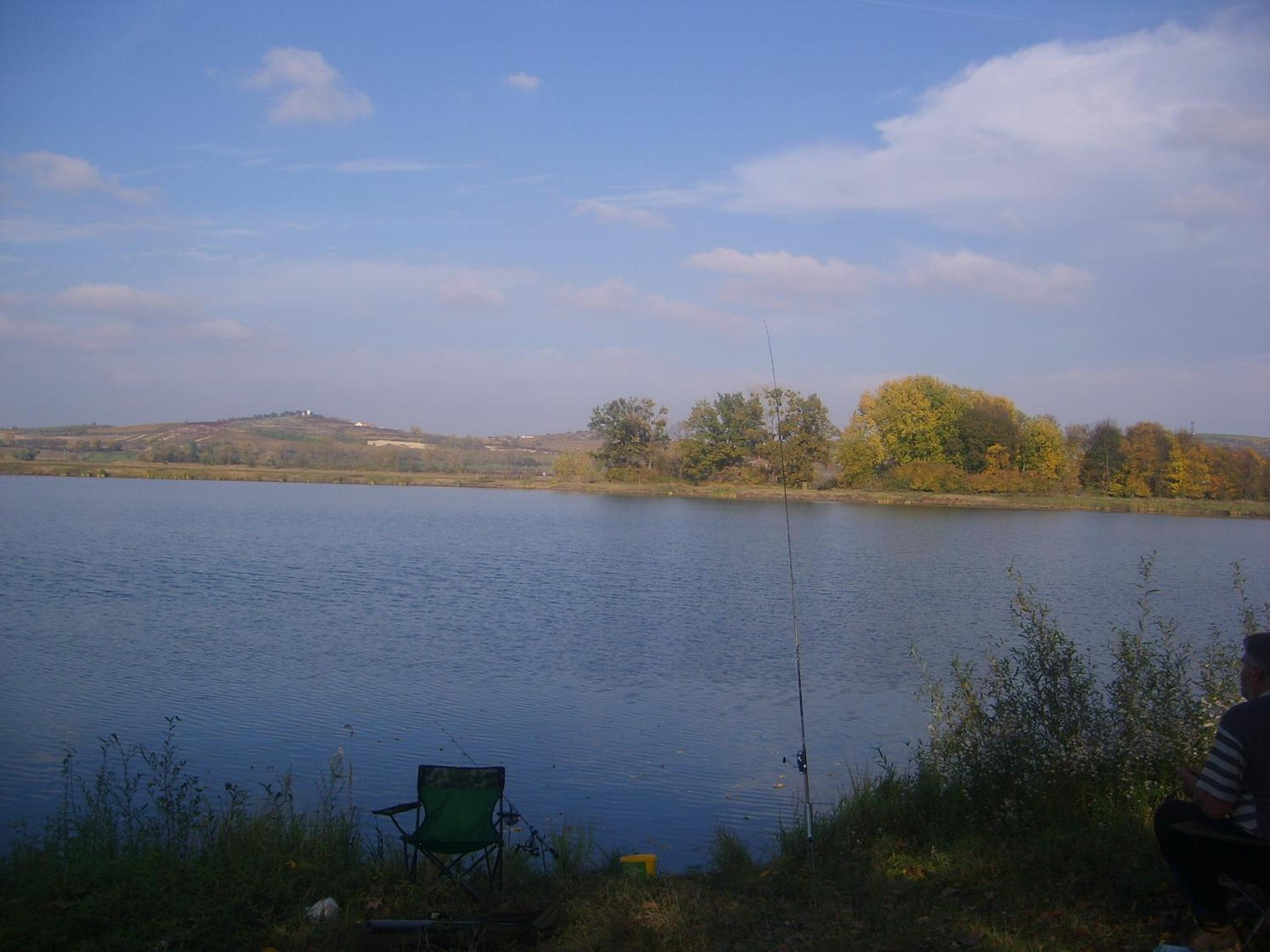 Photo 41