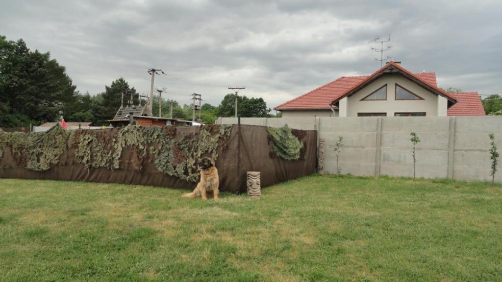 Photo 49