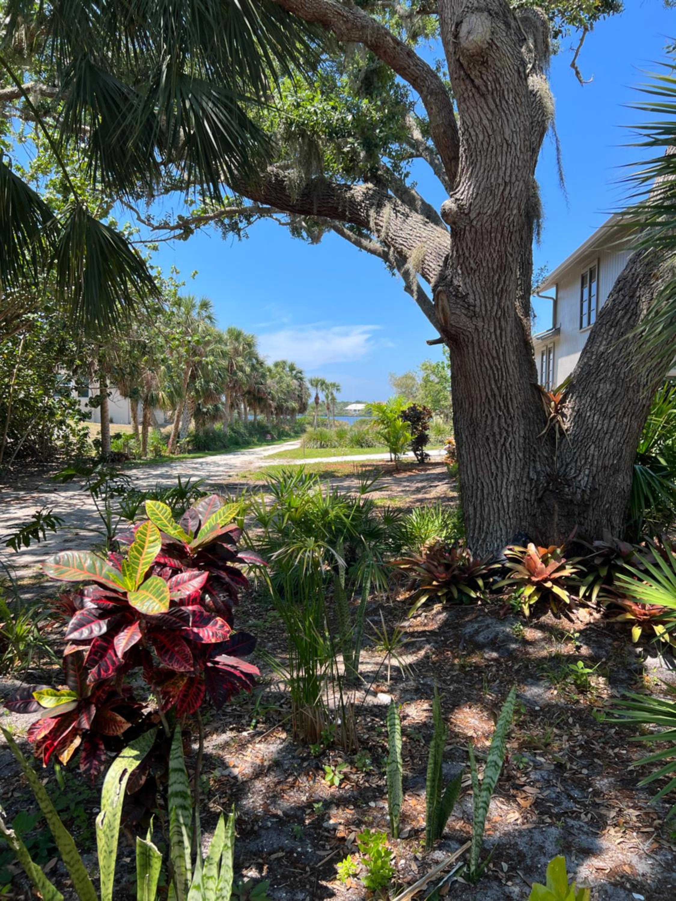 tropical bay house view 3