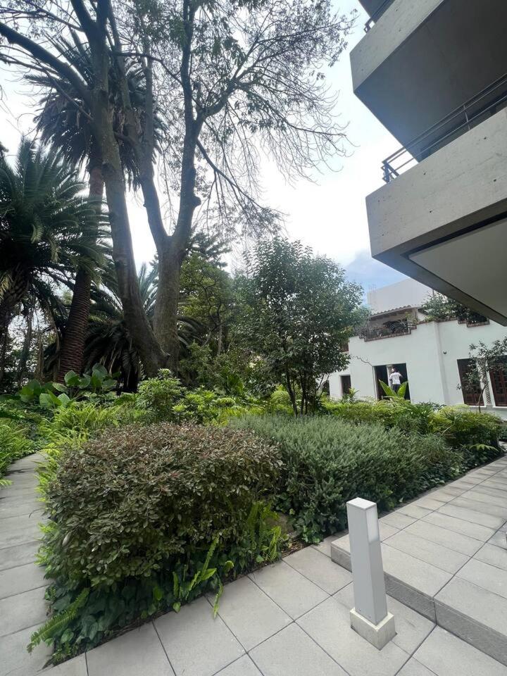 Photo 42