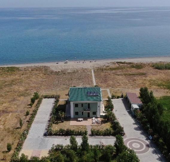 Green House Beach photo 4