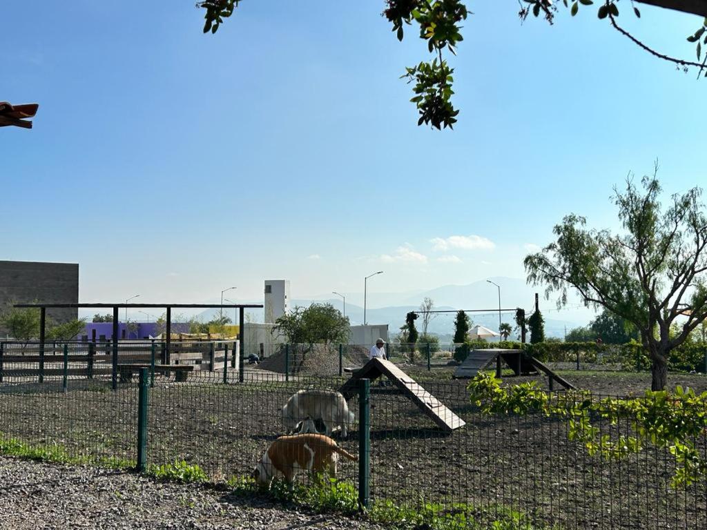 Photo 26