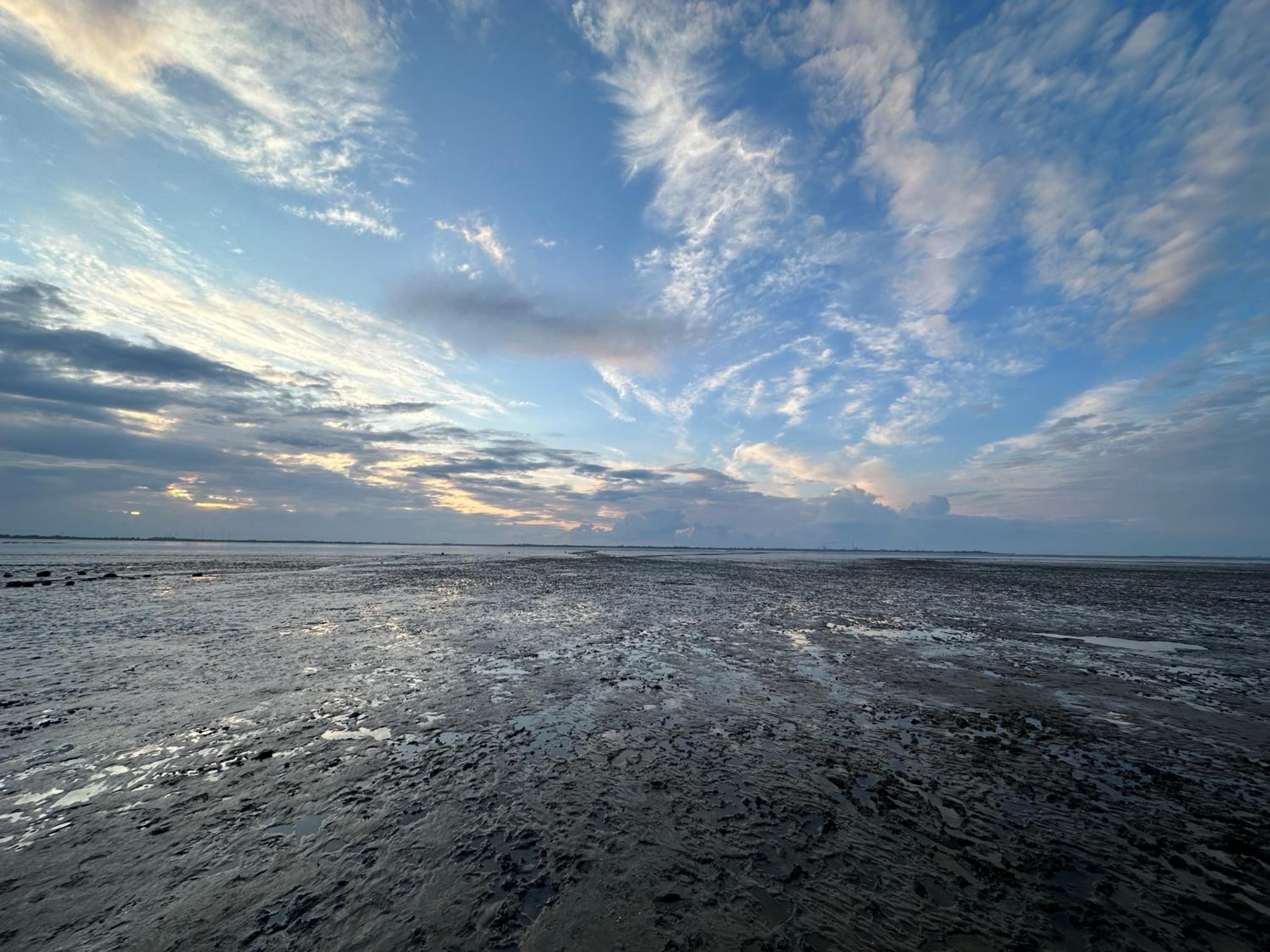 FeWo Frieda's Platz am Meer