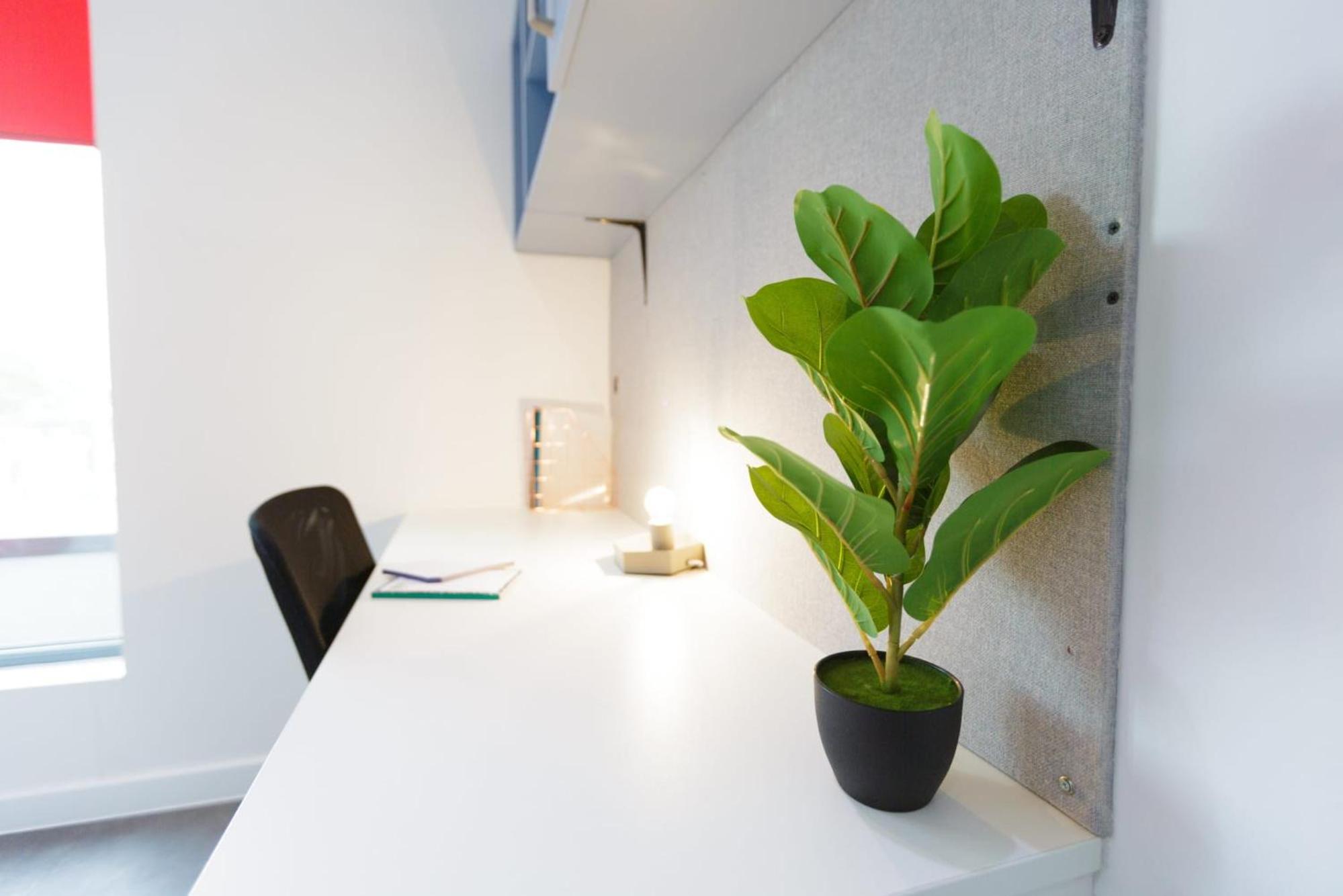 For Students Only Cosy Studios and Ensuites at New Cross in London