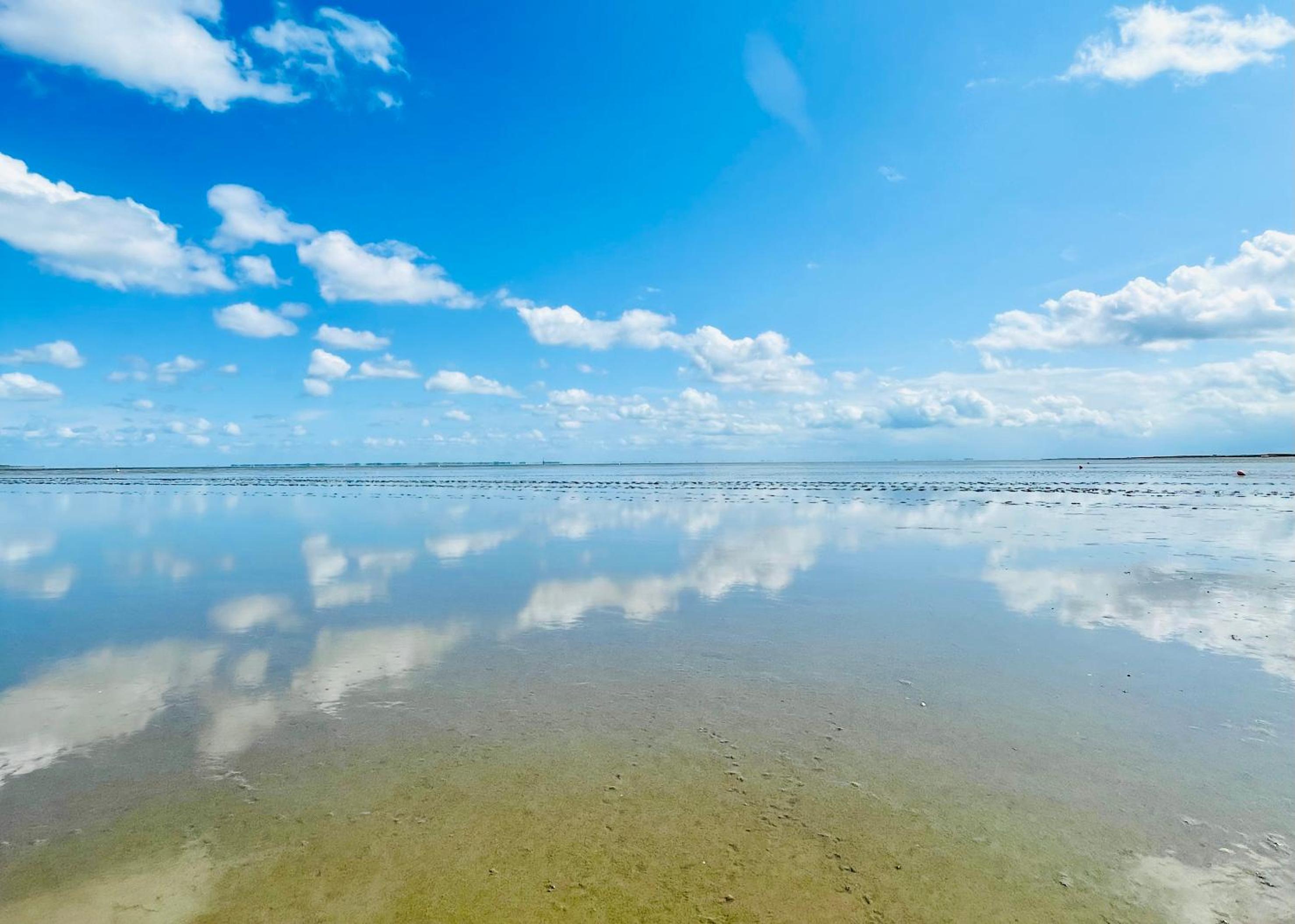 FeWo Frieda's Platz am Meer