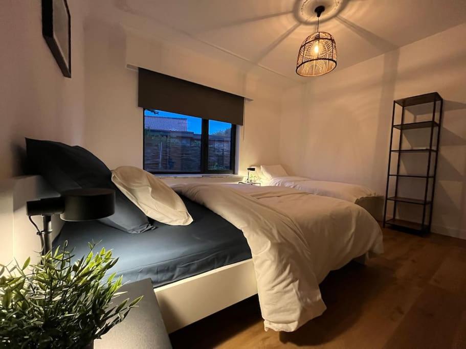 Boldermountain Guesthouse