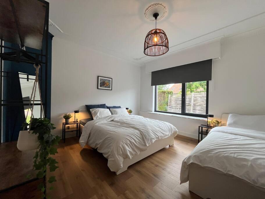 Boldermountain Guesthouse