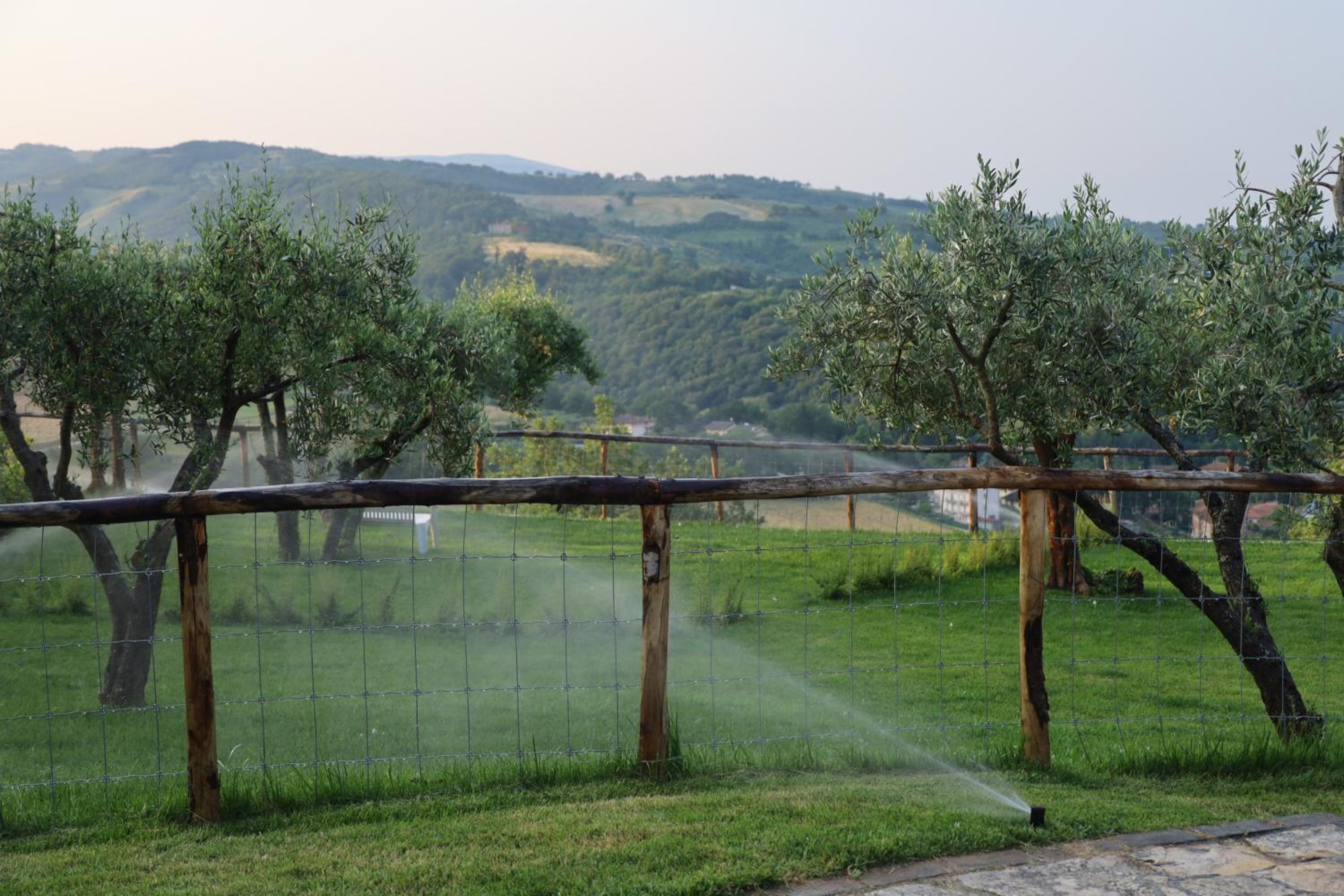 Cucina condivisione e natura - il rifugio perfetto per gruppi fino 31 - Assisi Perugia view 5