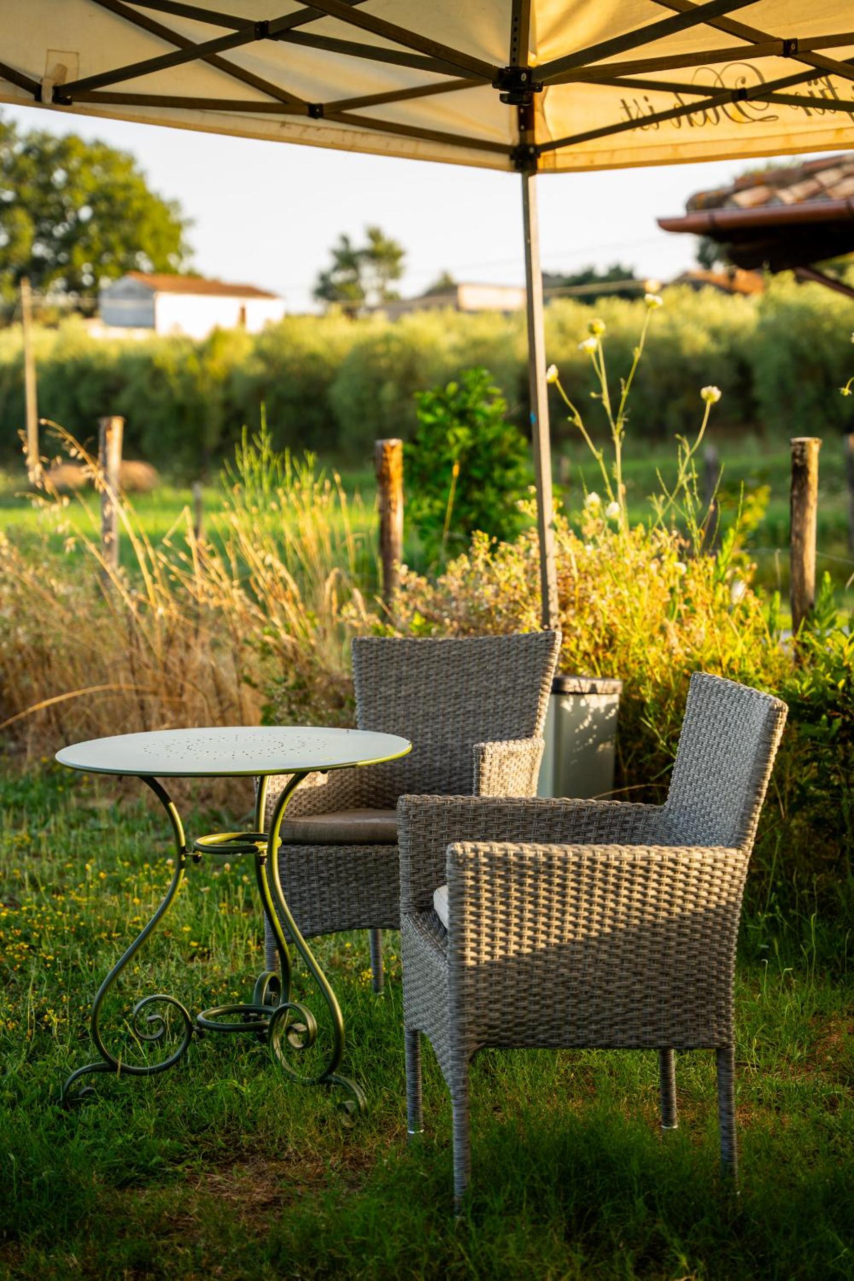 Agriturismo Anfora della Vita