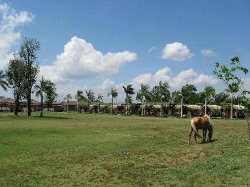 Busai Country View view 4
