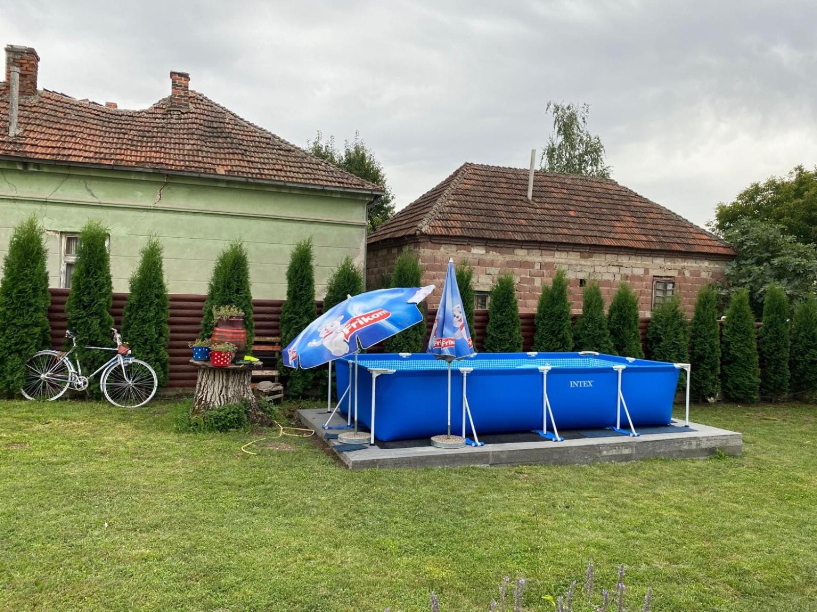Photo 41