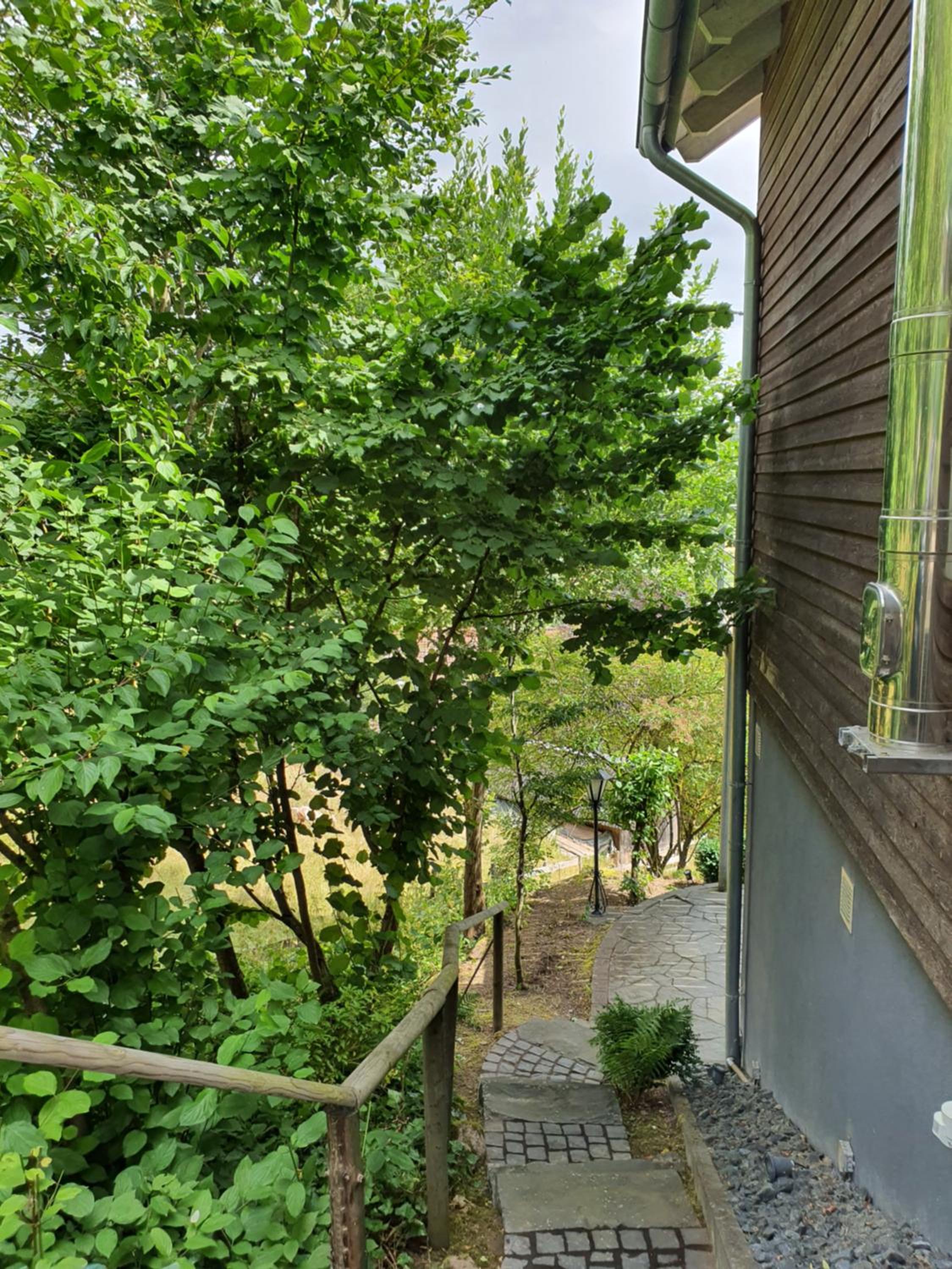Romantic and Cosy Studio with Lake View in Meerfeld Eifel Region