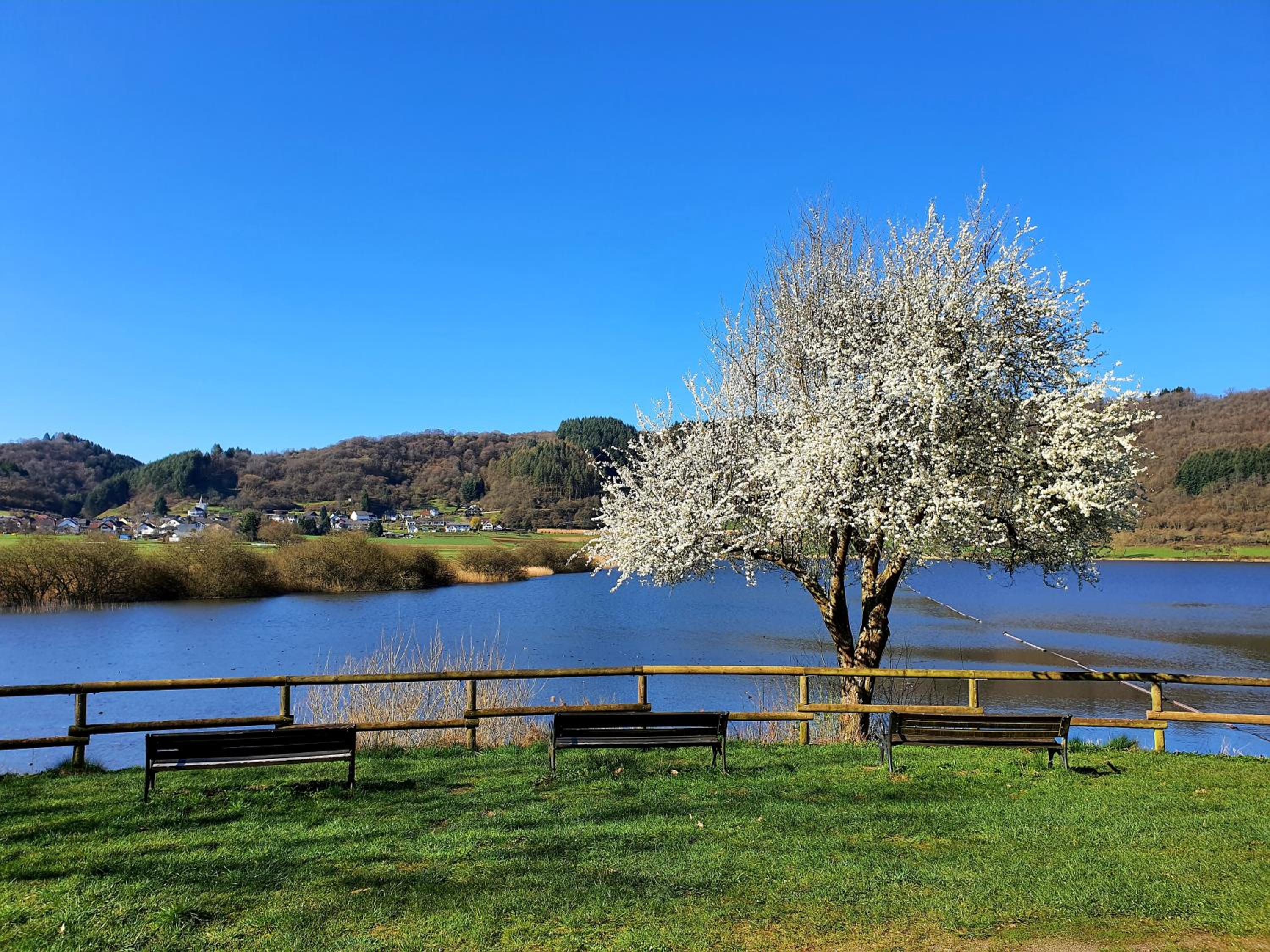 Romantic and Cosy Studio with Lake View in Meerfeld Eifel Region
