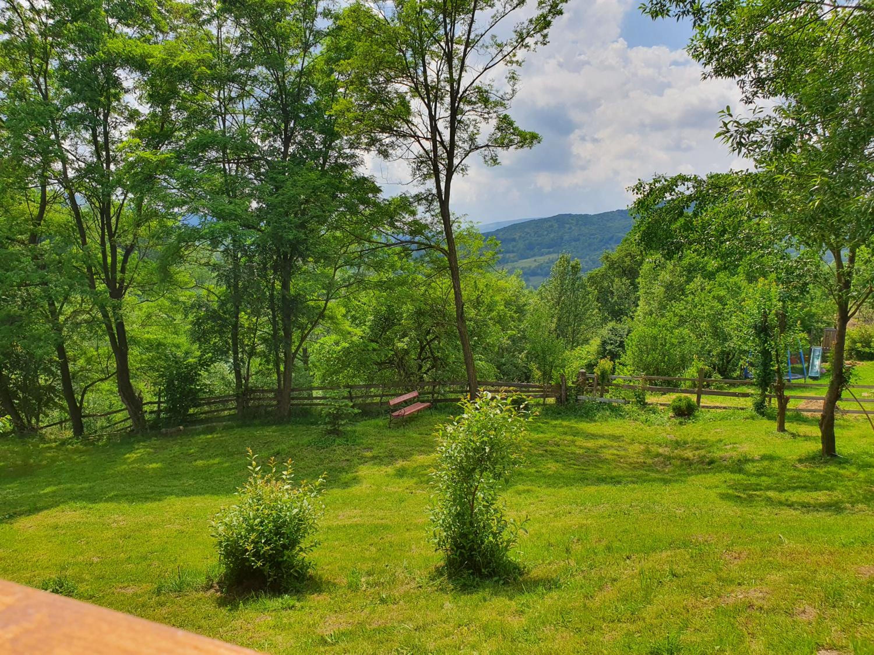 Forest House Doftana