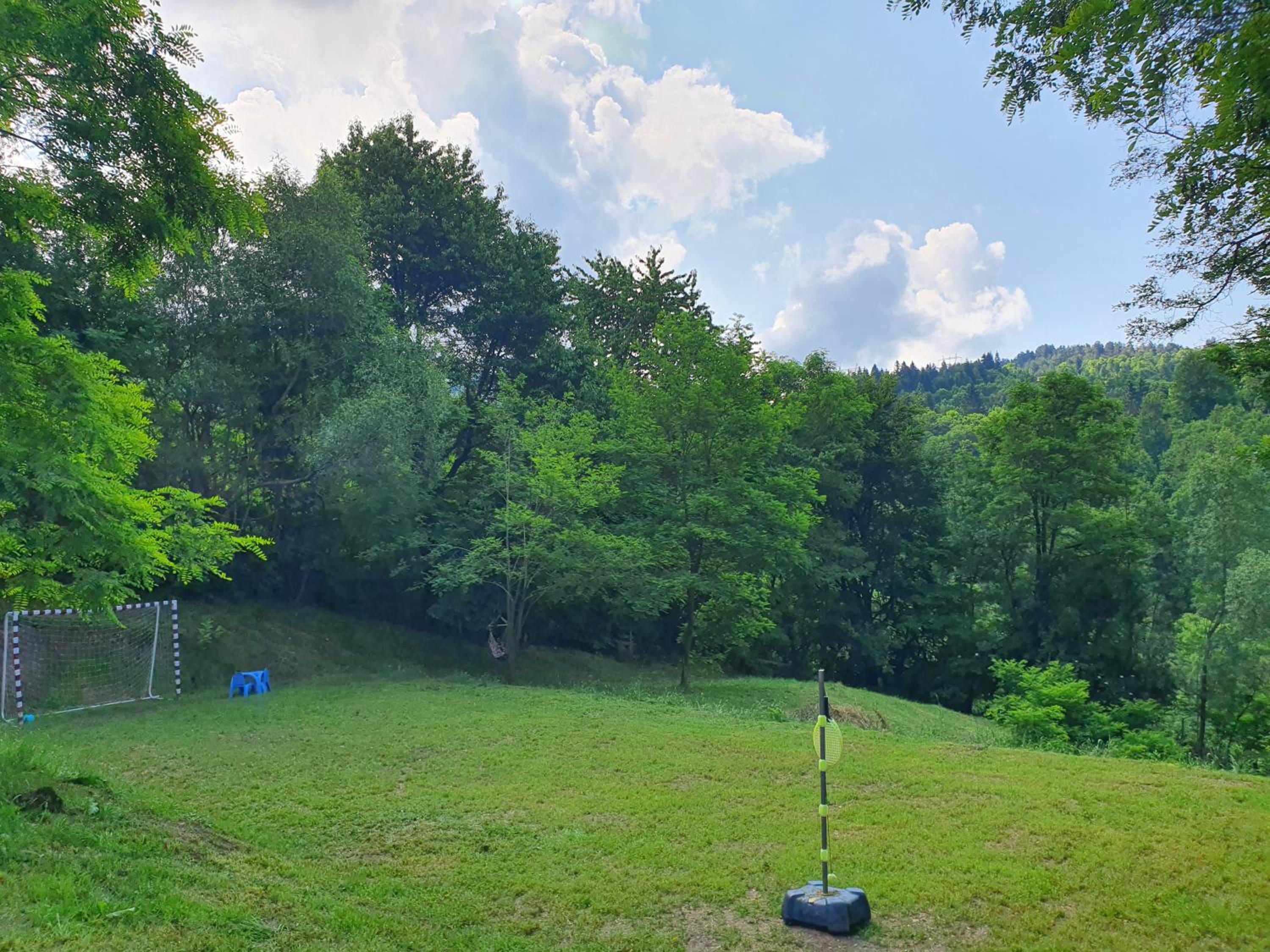 Forest House Doftana