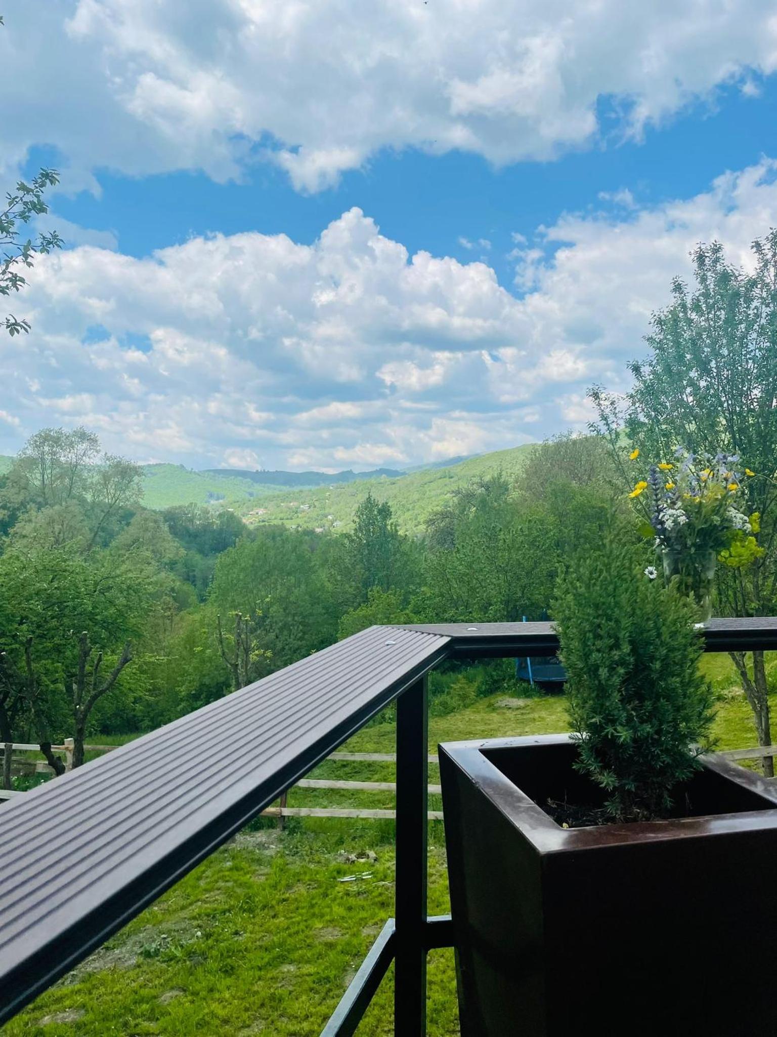 Forest House Doftana