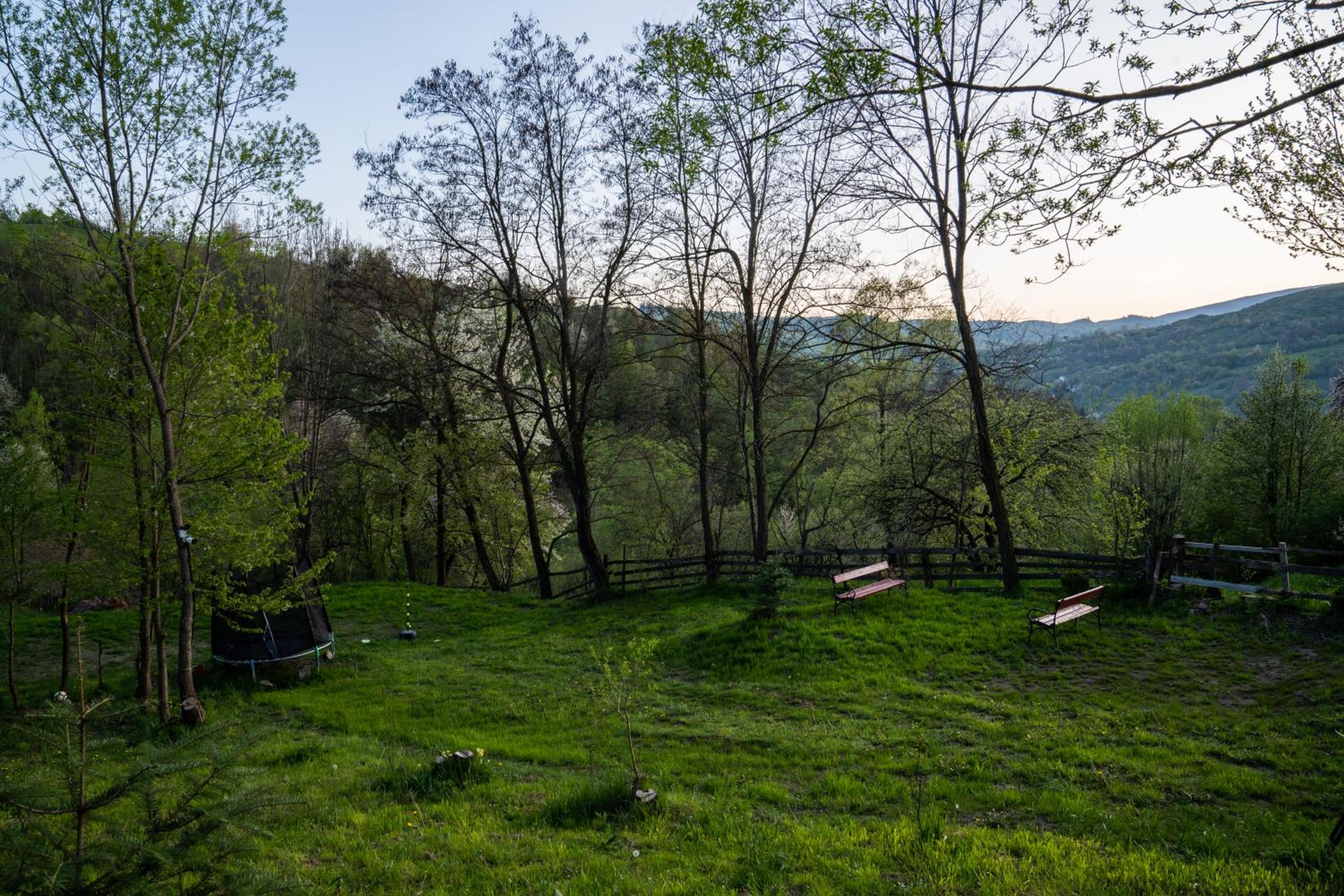 Forest House Doftana