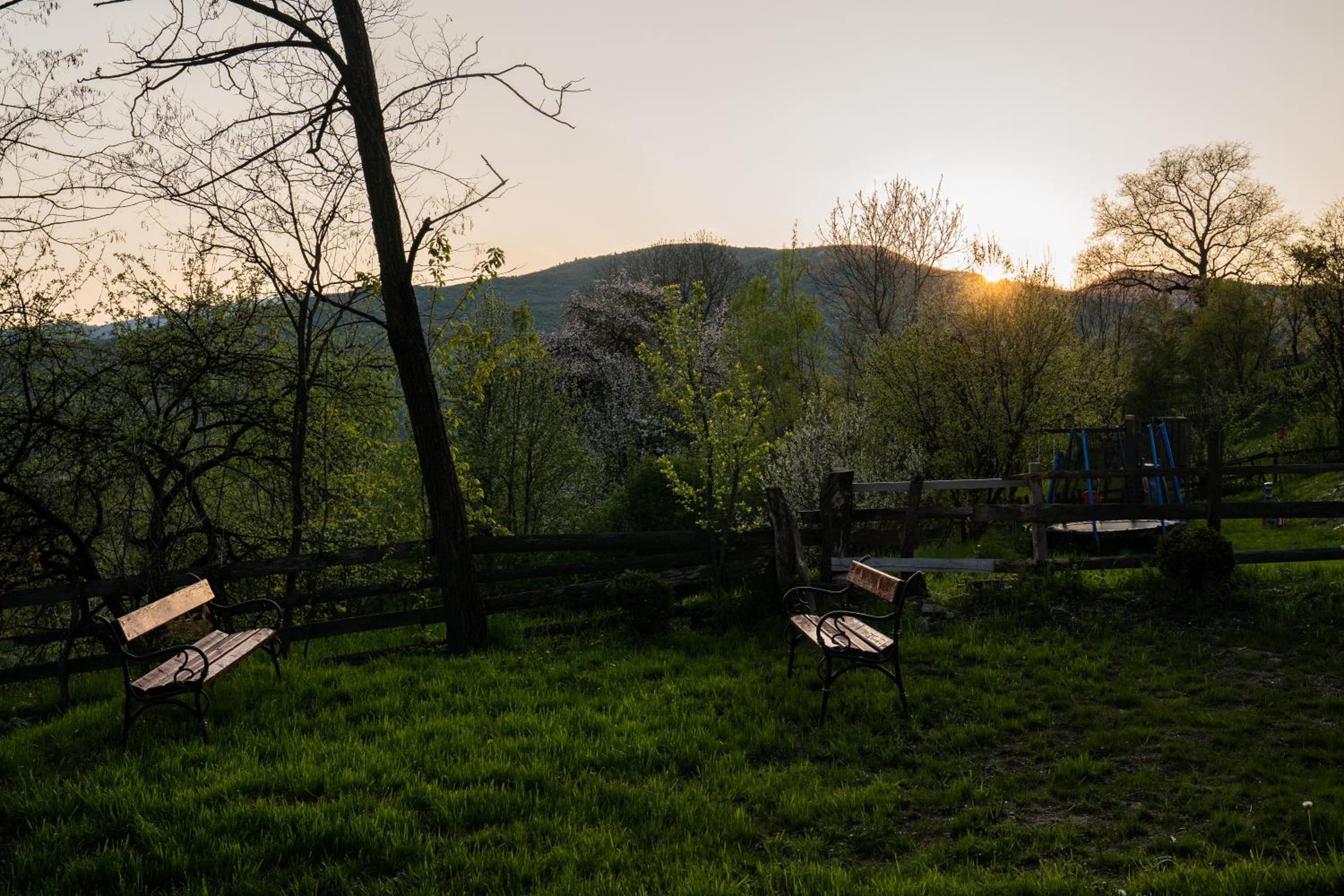 Forest House Doftana