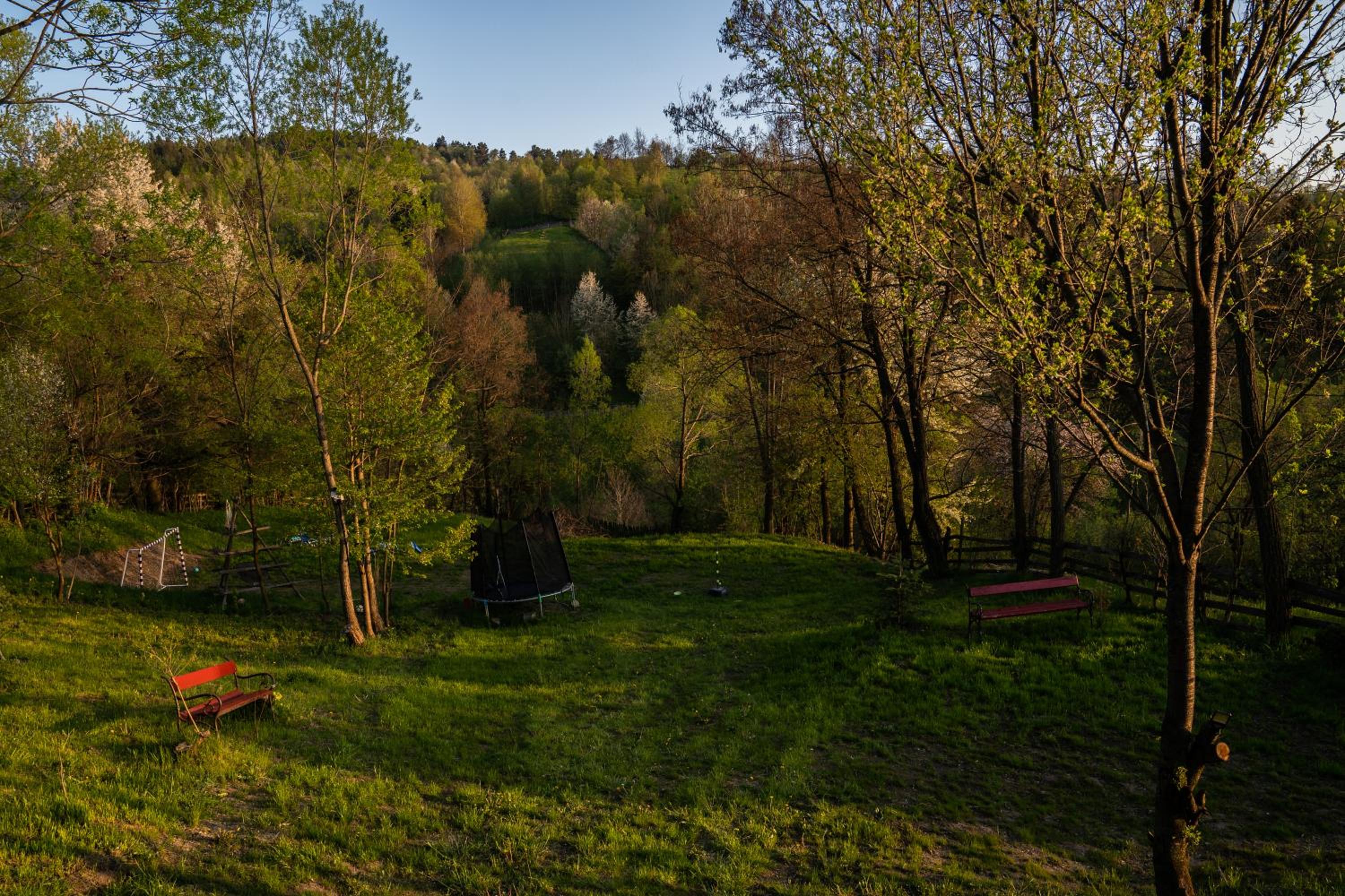 Forest House Doftana
