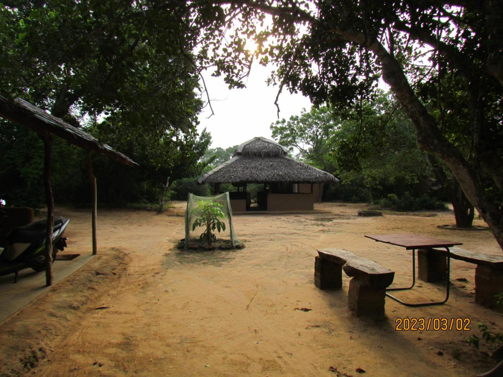 Photo 46