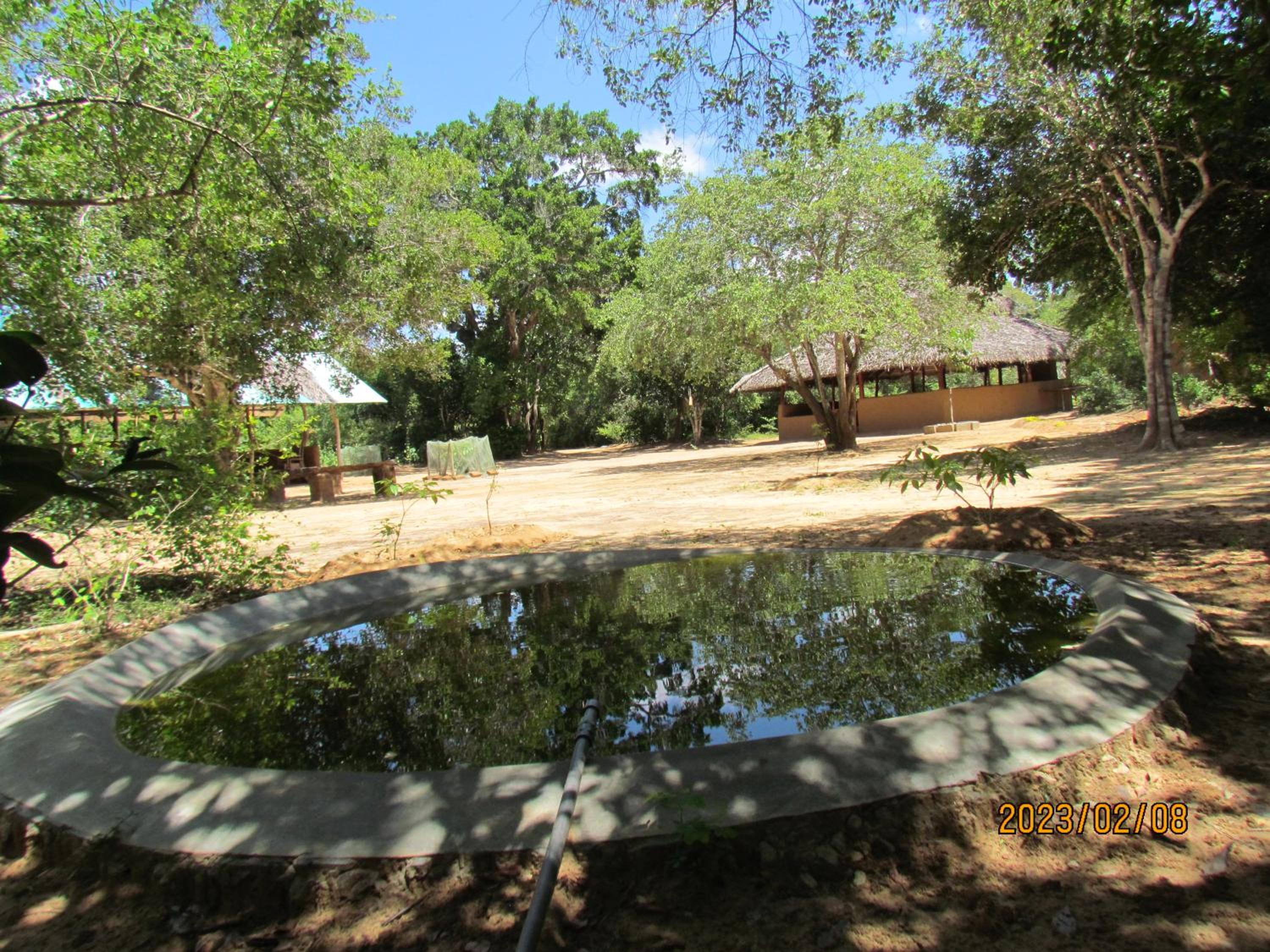 Photo 47