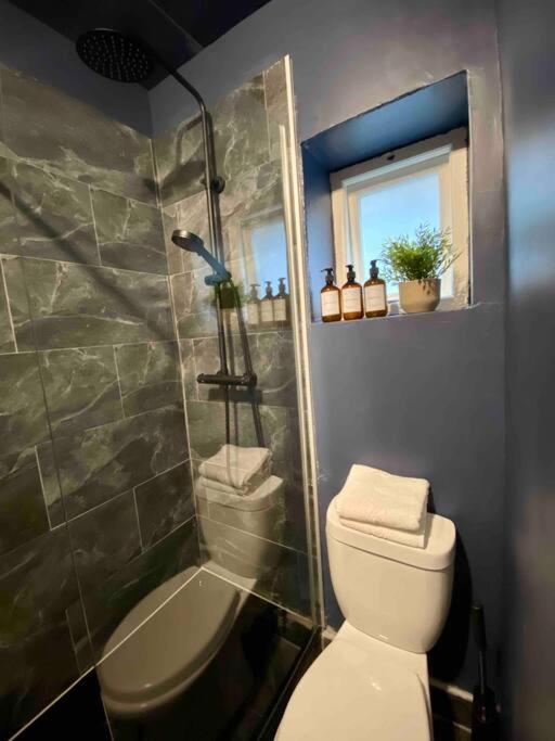 Stylish Studio for 3 near Regents Park n4