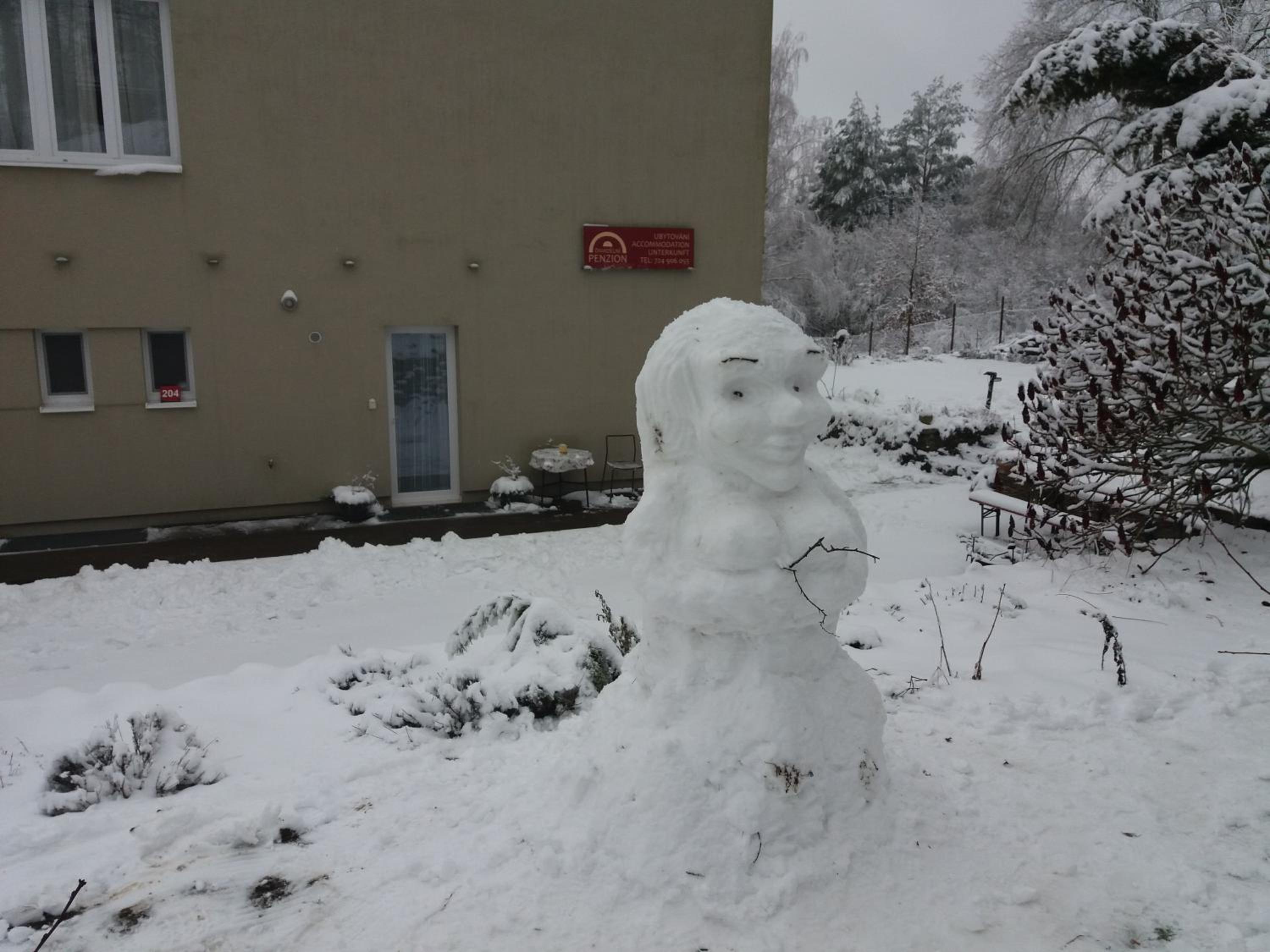 DIVADELNÍ PENZION