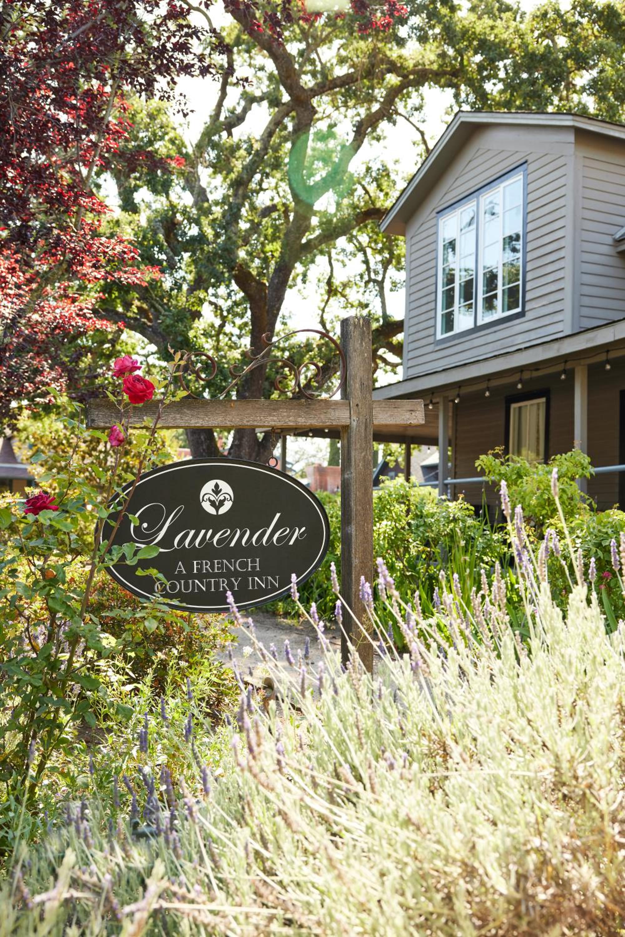 Yountville Vacations - Lavender, A Four Sisters Inn - Property Image 5