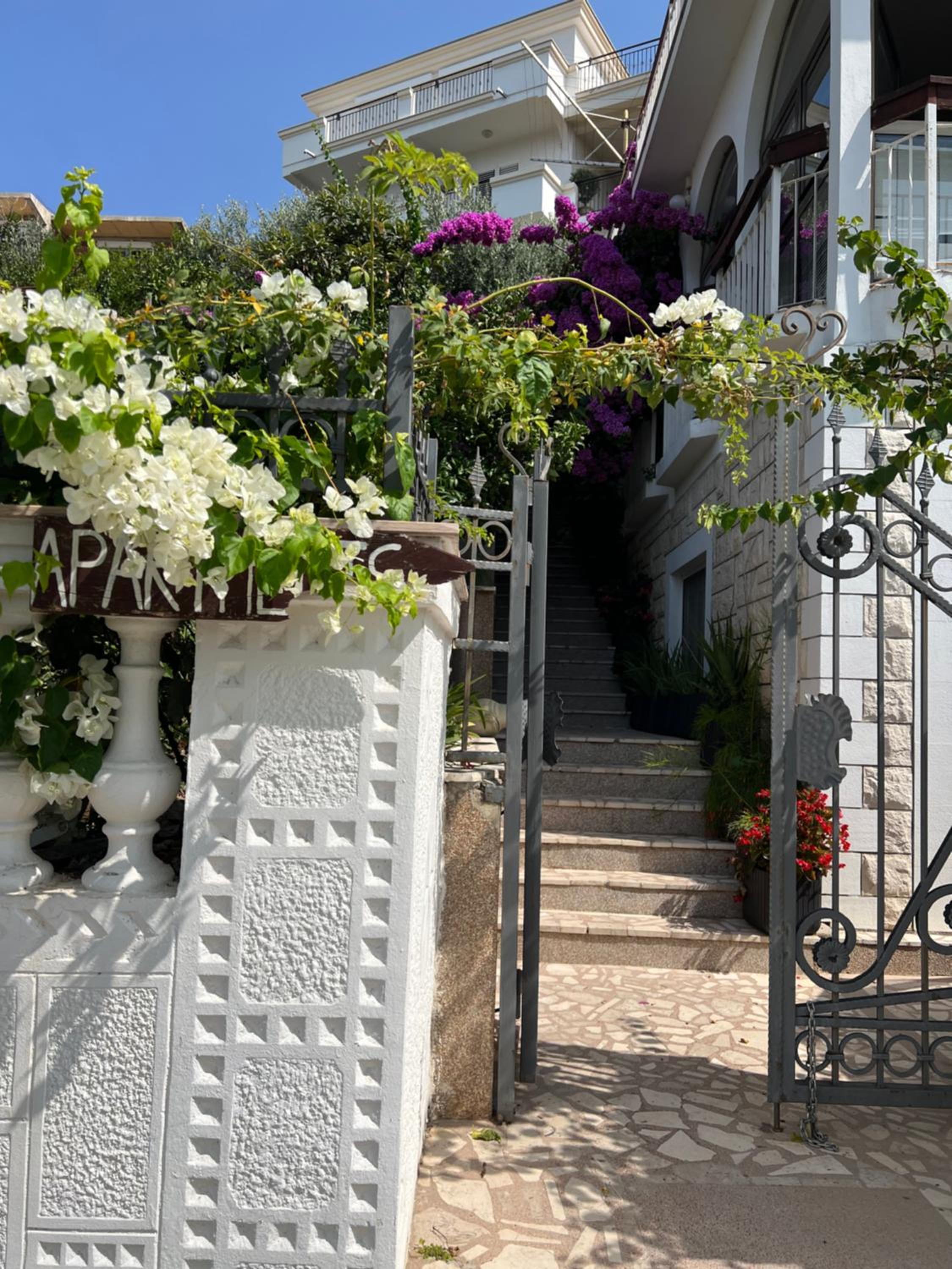 Apartment Salaj